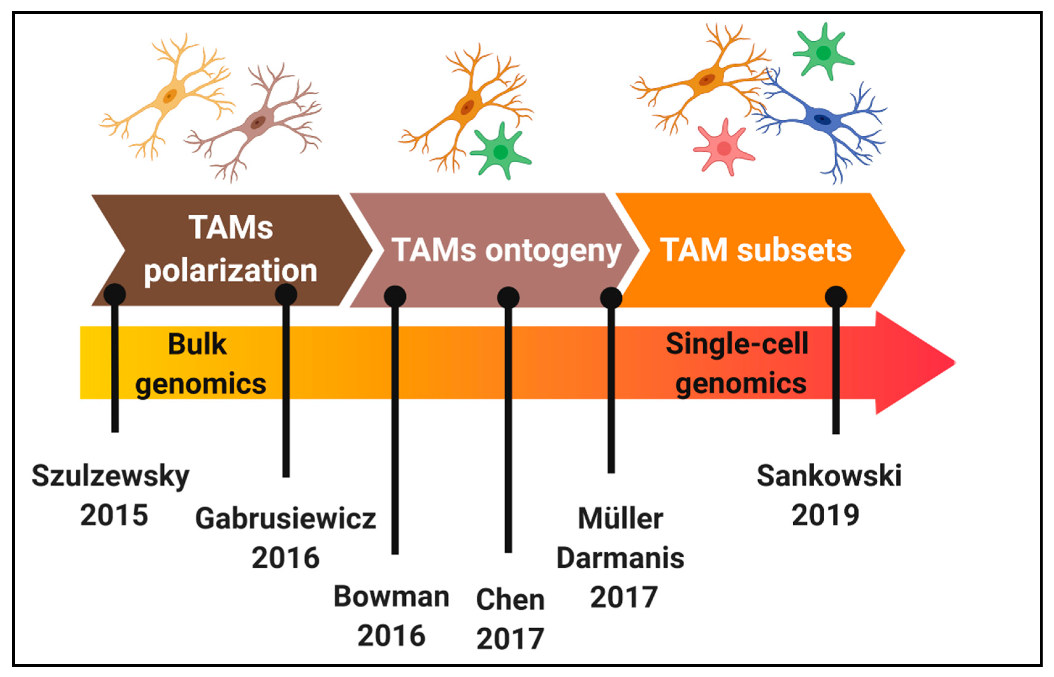 Ijms 21 00689 g001 Ijms 21 00689 g001
