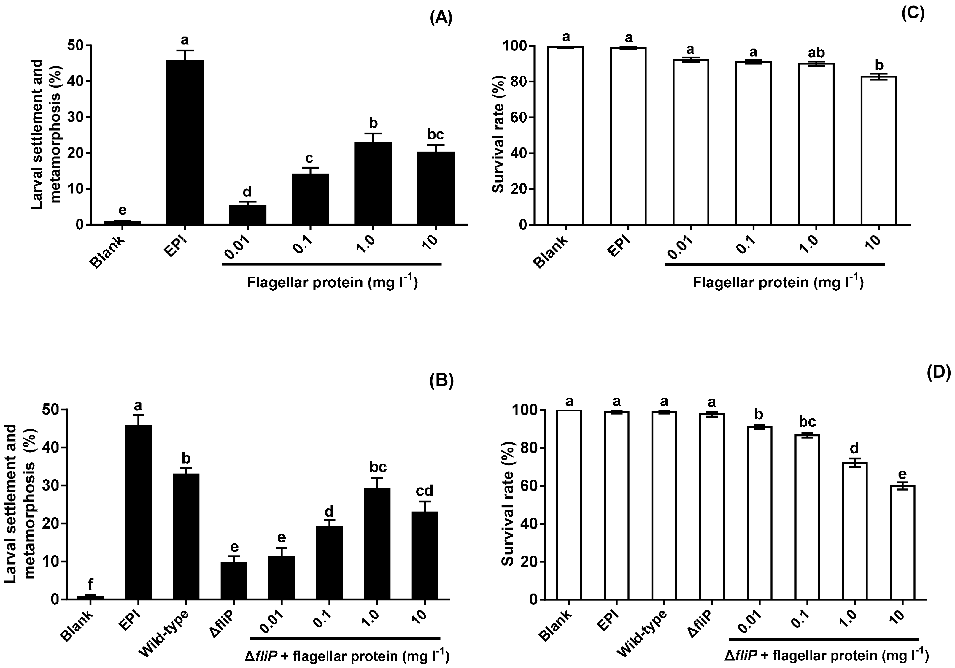 Ijms 21 00710 g006 Ijms 21 00710 g006