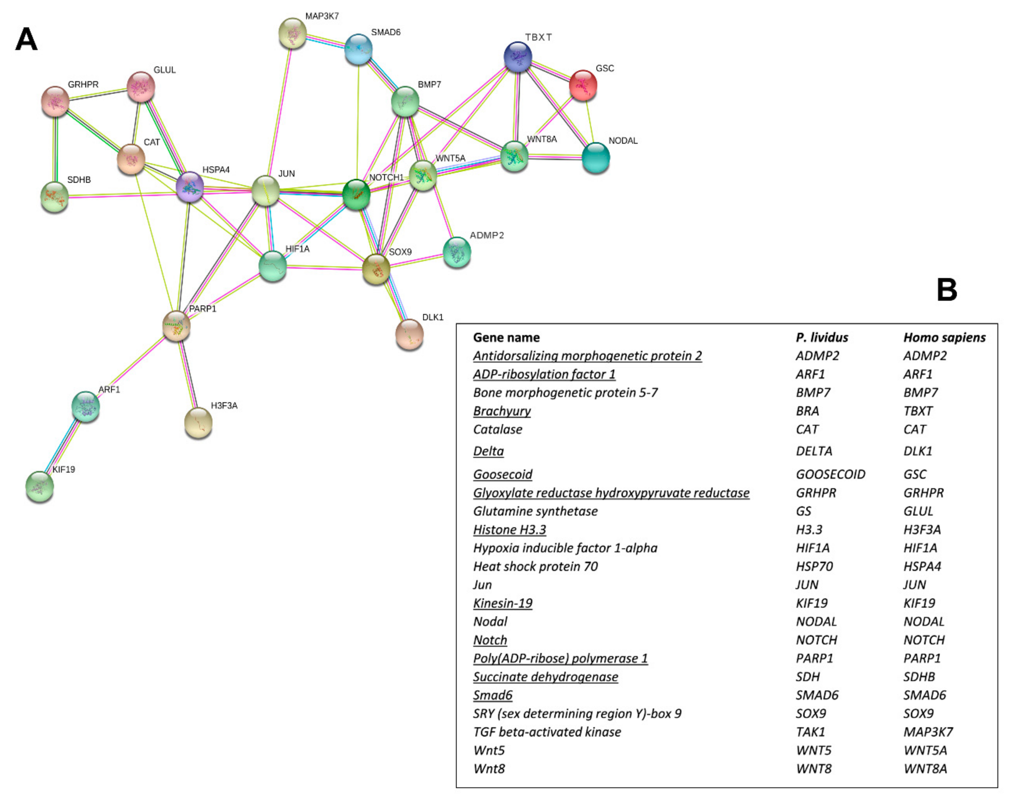 Ijms 21 00719 g002 Ijms 21 00719 g002
