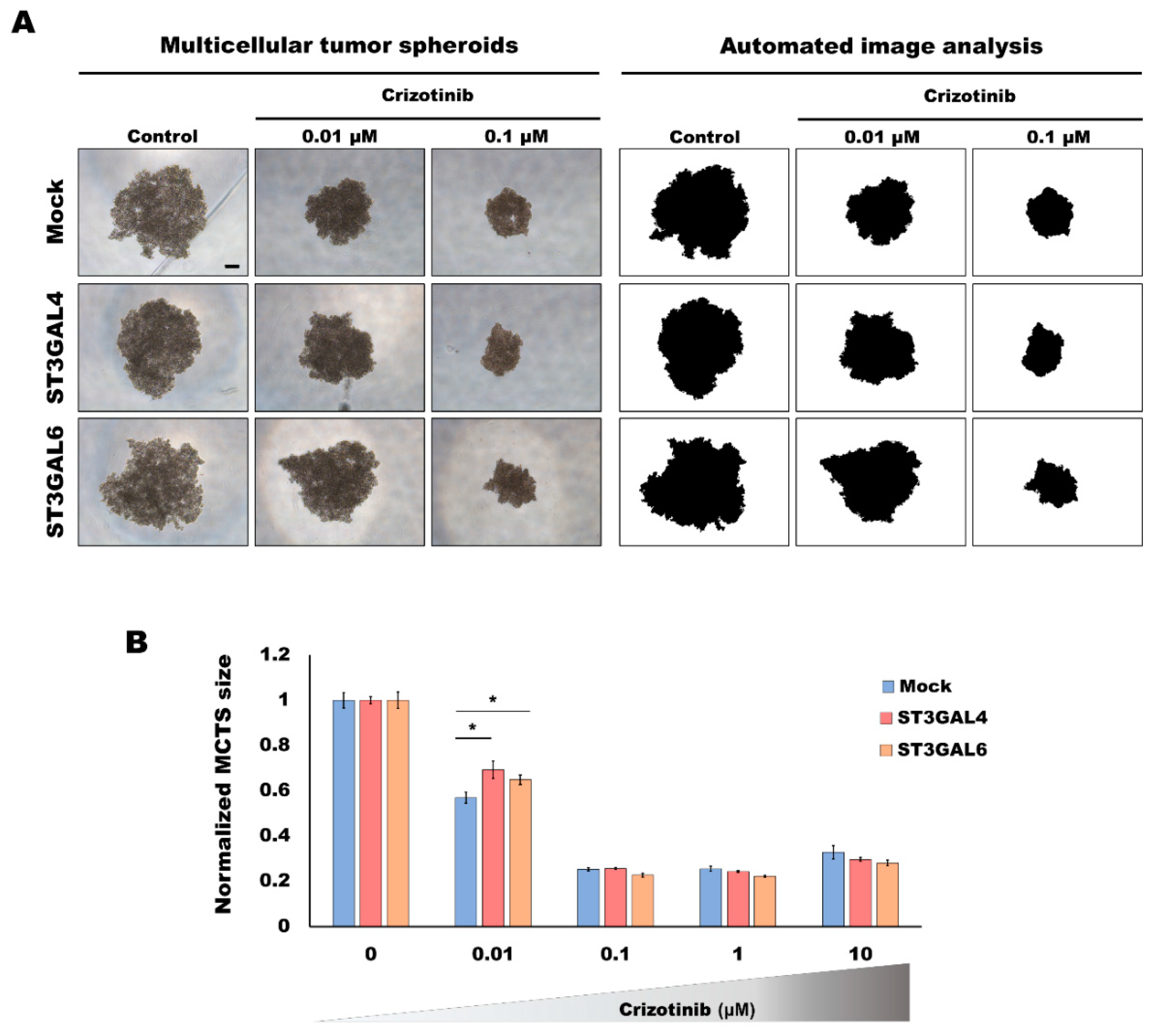 Ijms 21 00722 g002 Ijms 21 00722 g002