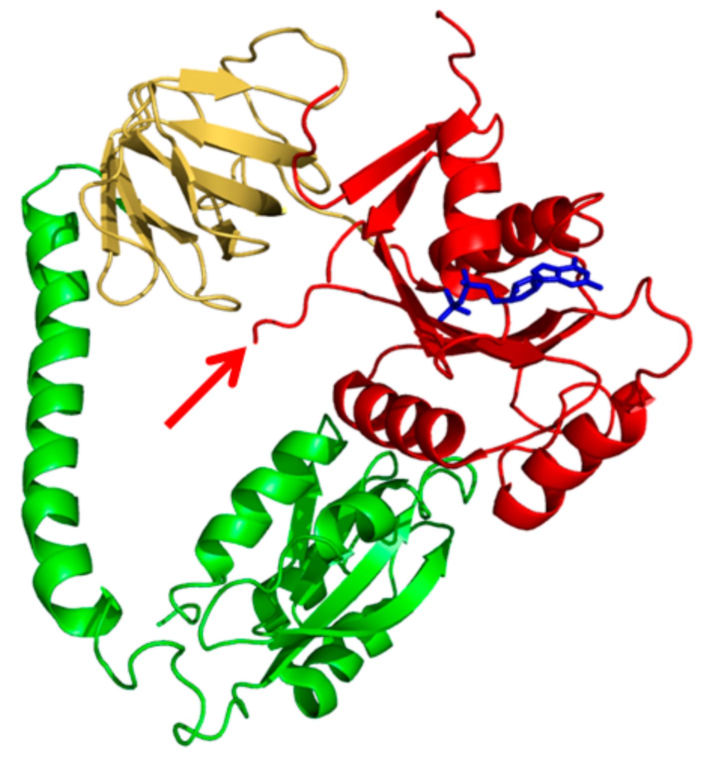 Ijms 21 00735 g001 Ijms 21 00735 g001