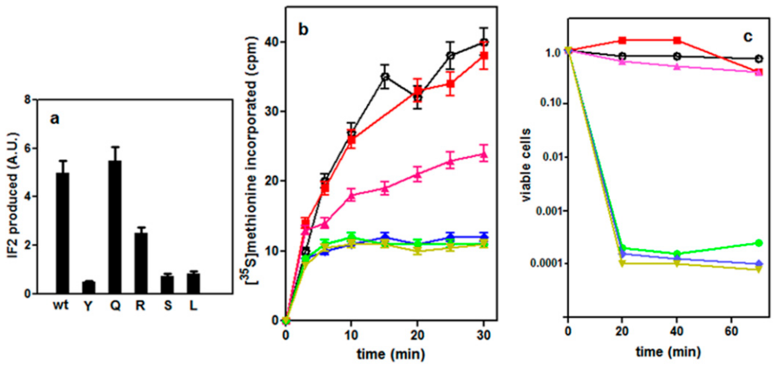 Ijms 21 00735 g002 Ijms 21 00735 g002