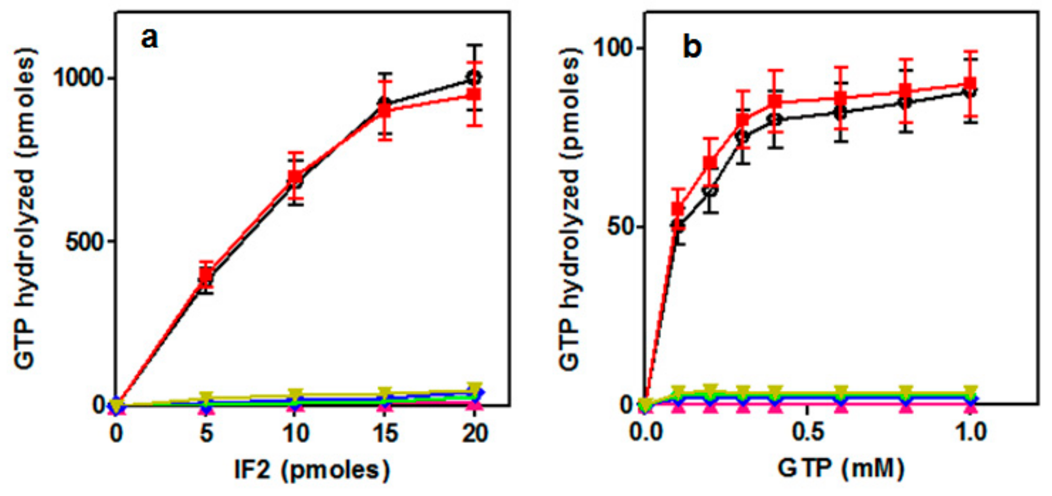 Ijms 21 00735 g003 Ijms 21 00735 g003