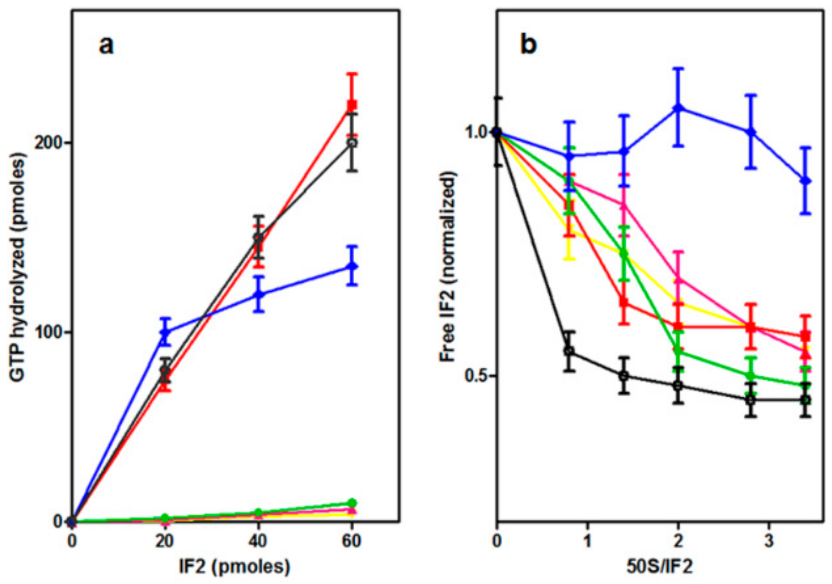 Ijms 21 00735 g004 Ijms 21 00735 g004