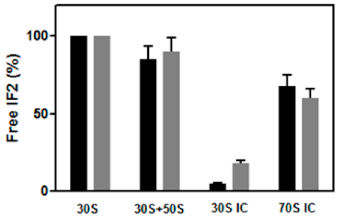 Ijms 21 00735 g006 Ijms 21 00735 g006