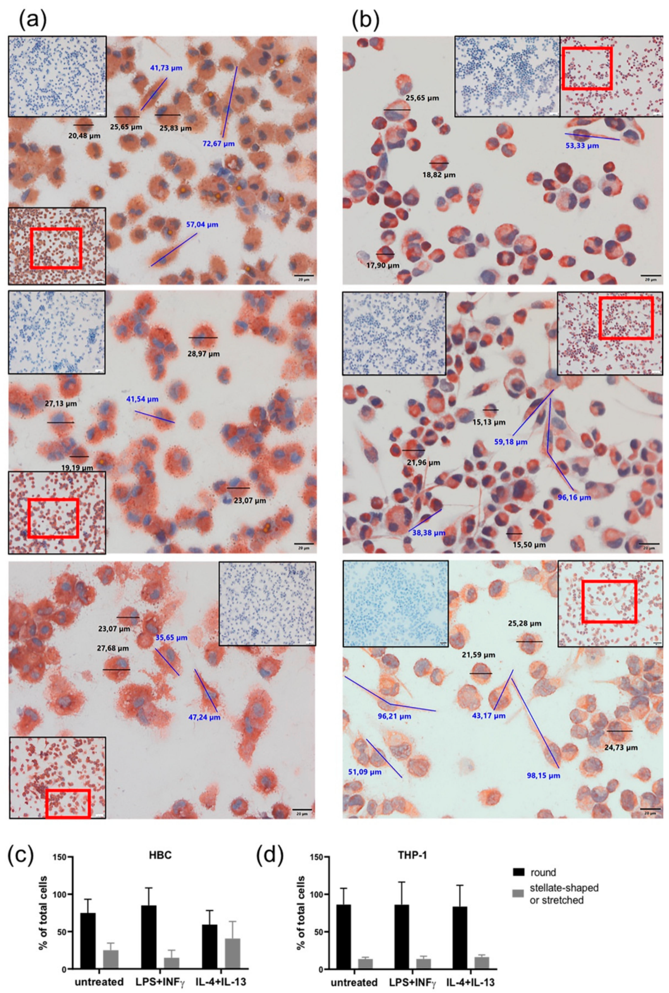 Ijms 21 00736 g003 Ijms 21 00736 g003