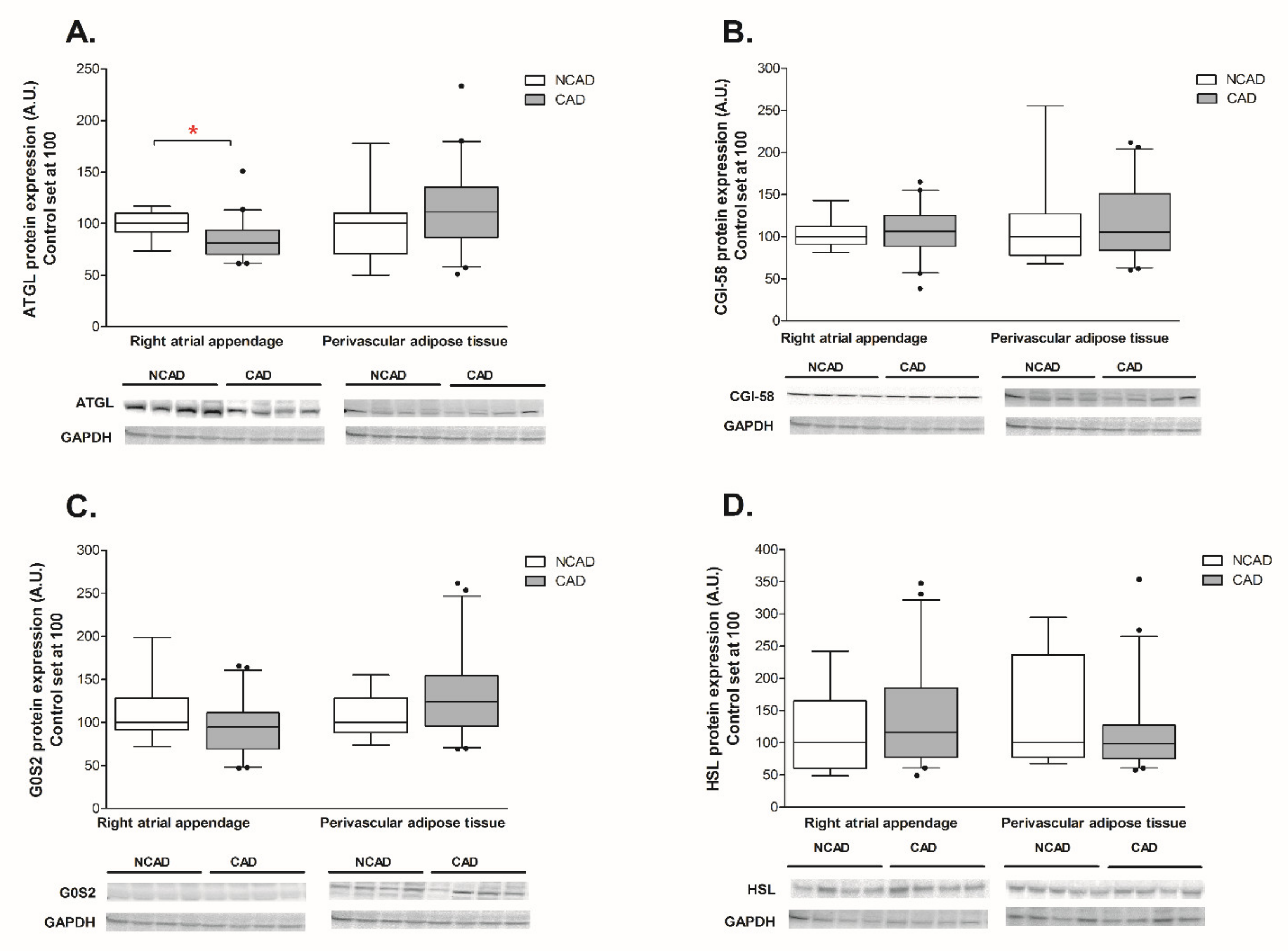 Ijms 21 00737 g001 Ijms 21 00737 g001