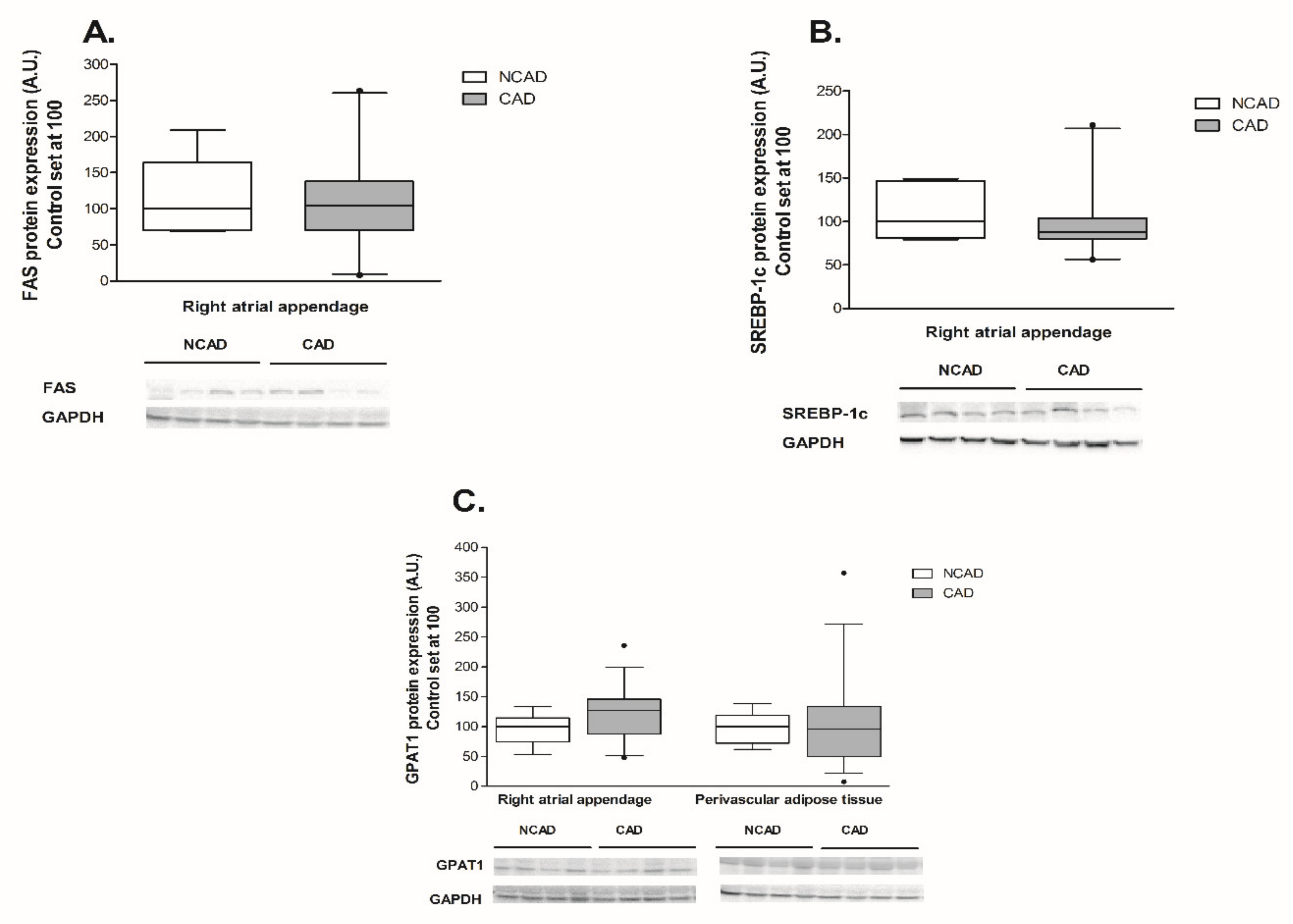 Ijms 21 00737 g007 Ijms 21 00737 g007