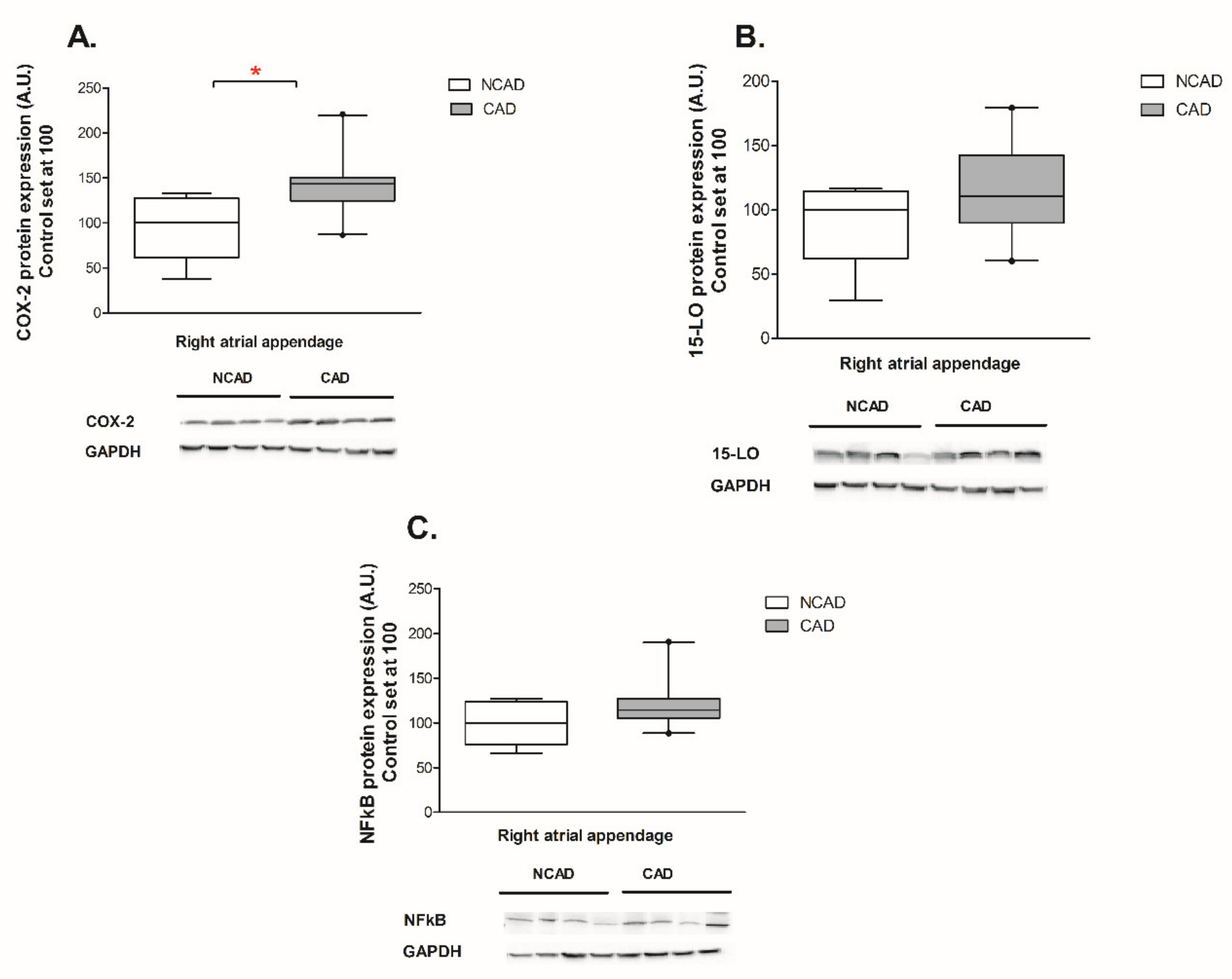 Ijms 21 00737 g008 Ijms 21 00737 g008