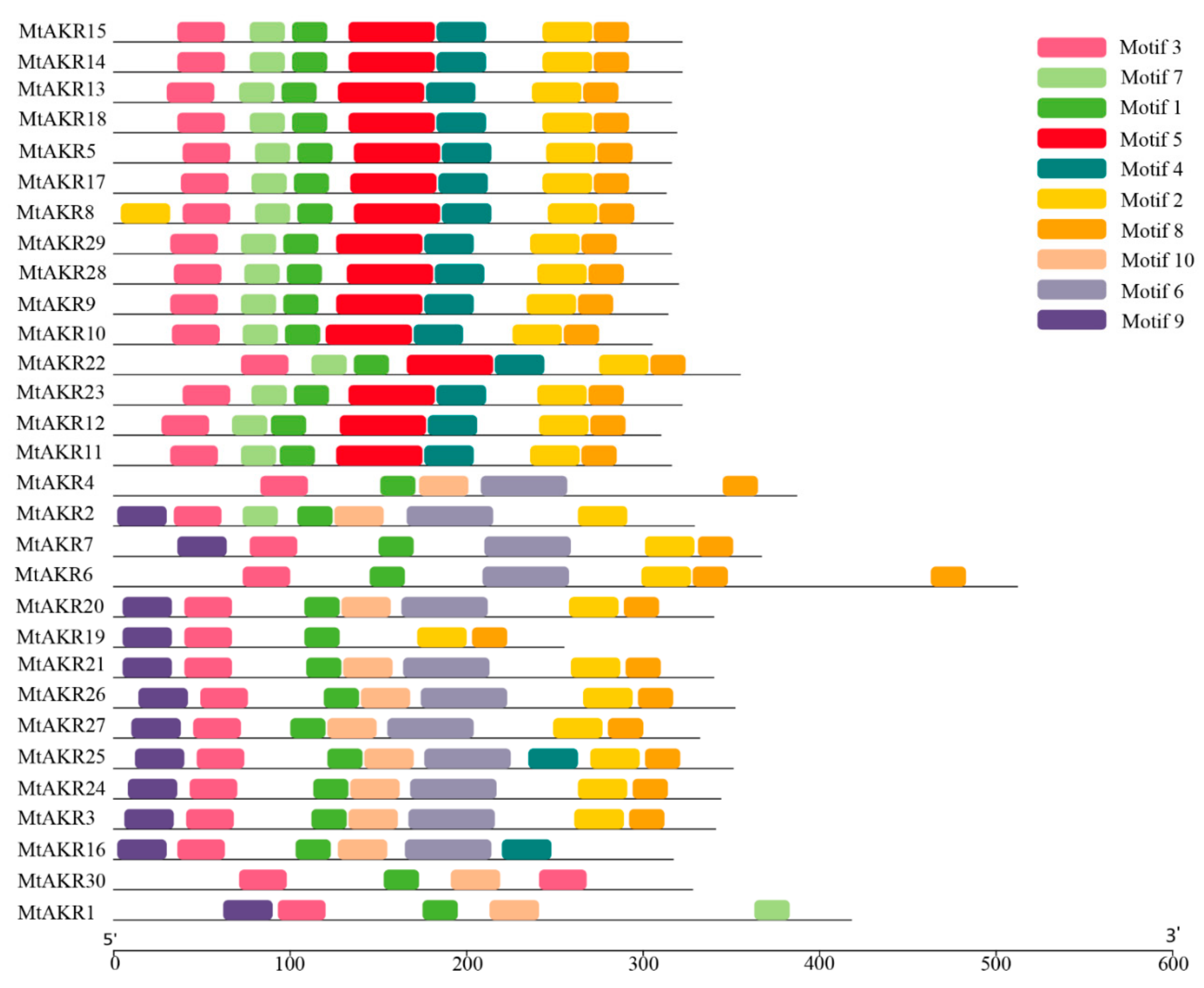 Ijms 21 00754 g003 Ijms 21 00754 g003