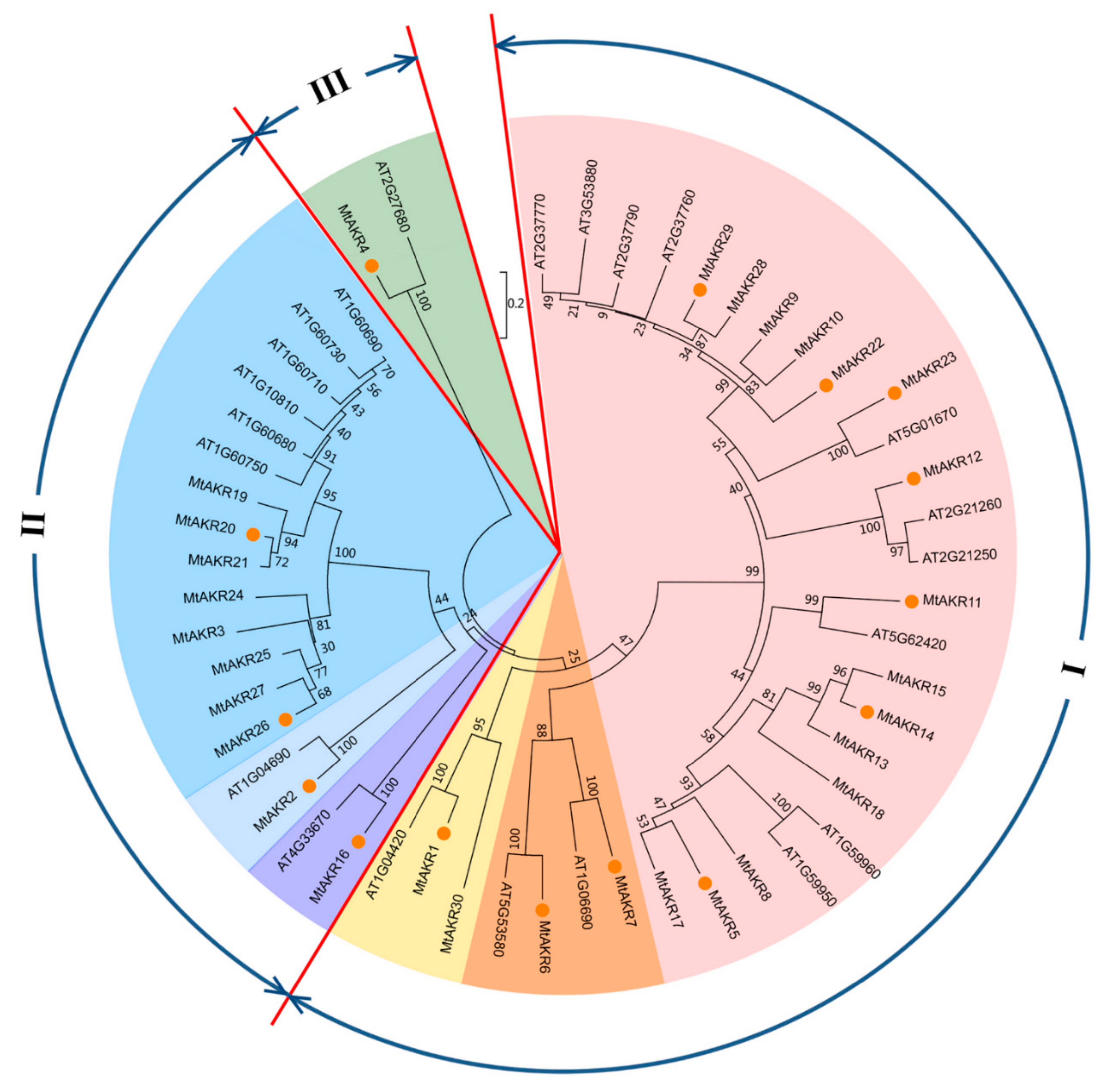 Ijms 21 00754 g005 Ijms 21 00754 g005