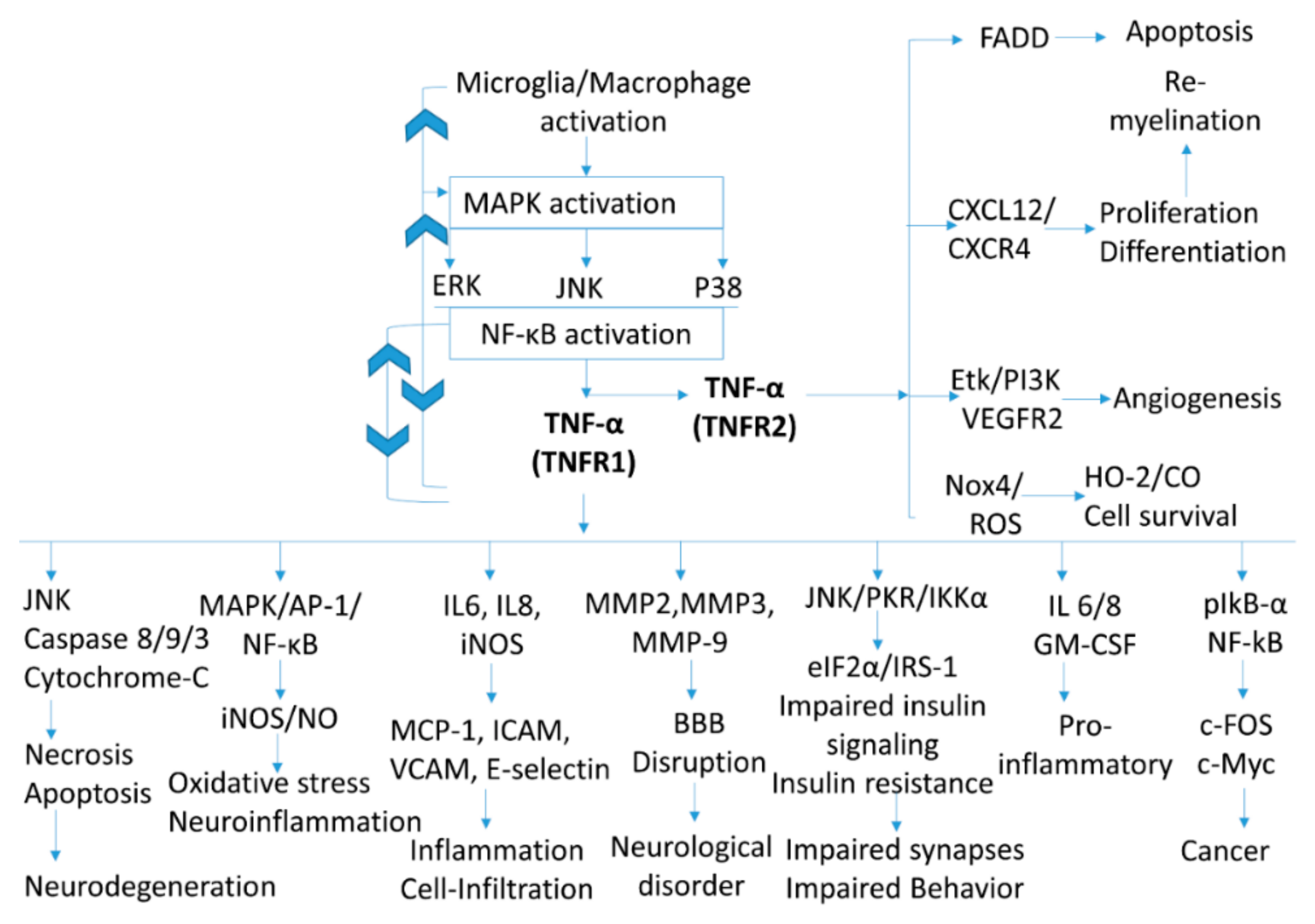 Ijms 21 00764 g001