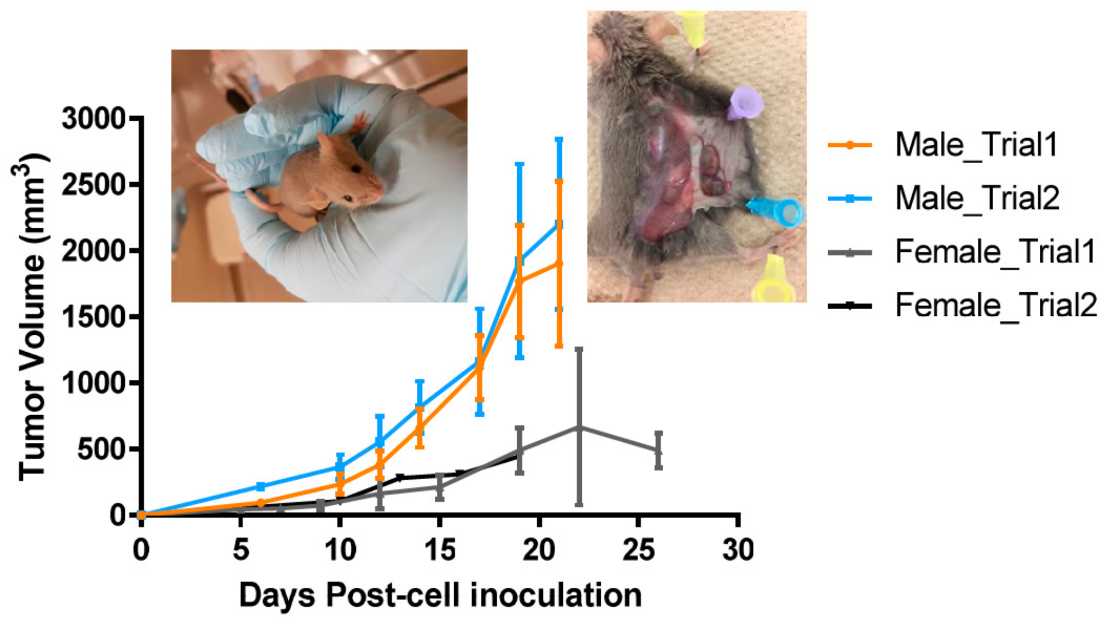 Ijms 21 00773 g001 Ijms 21 00773 g001