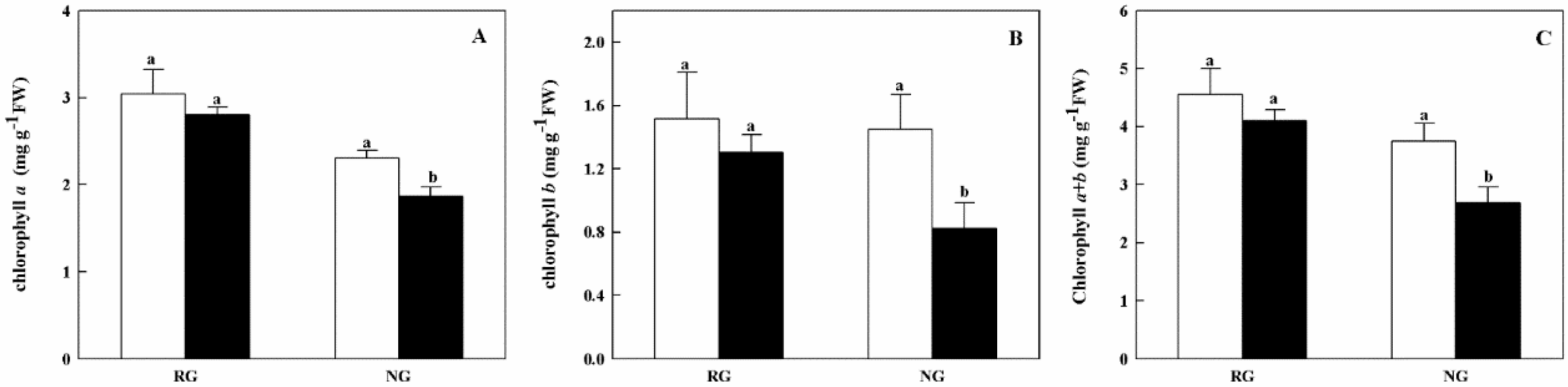 Ijms 21 00774 g001 Ijms 21 00774 g001