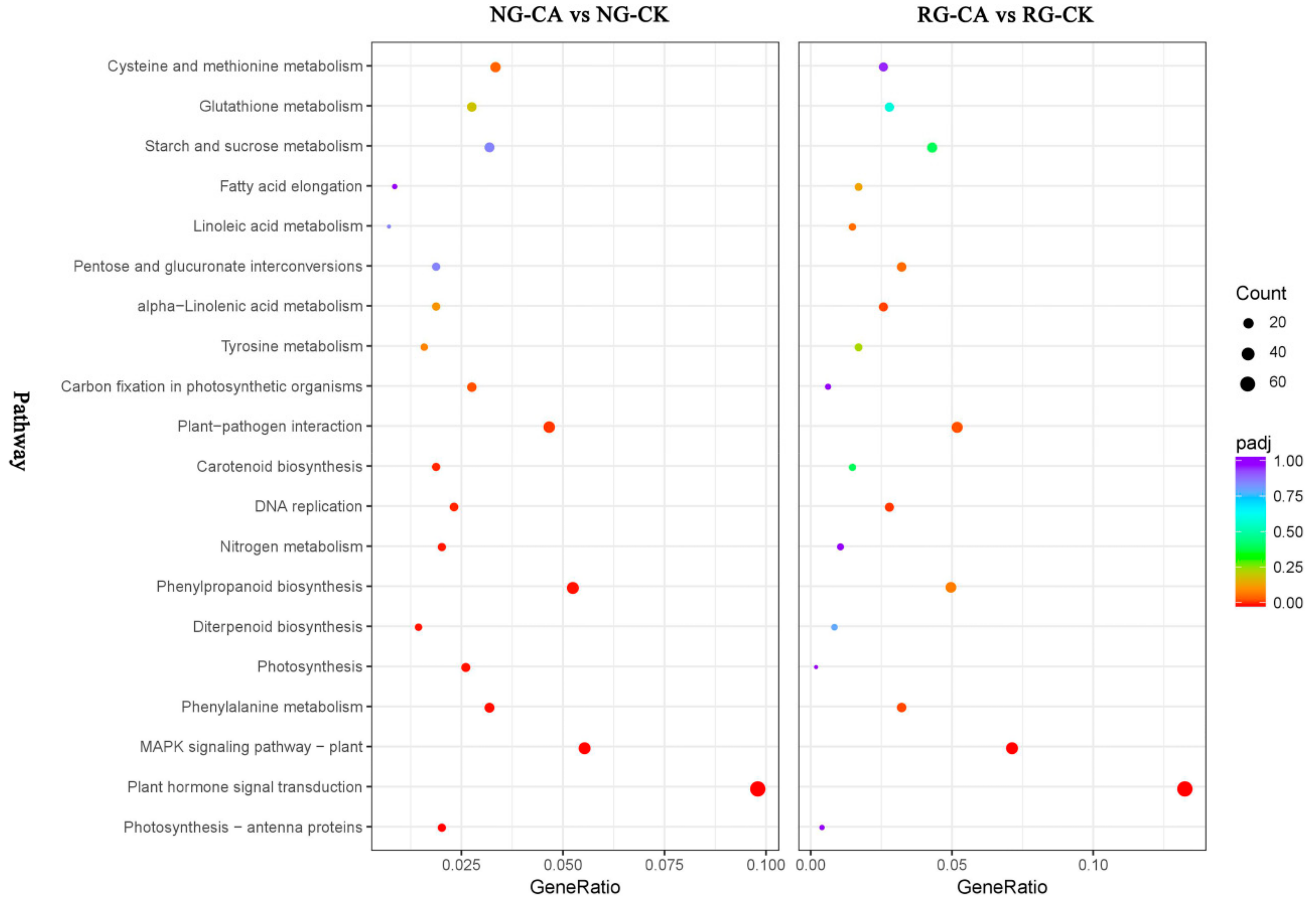 Ijms 21 00774 g005 Ijms 21 00774 g005