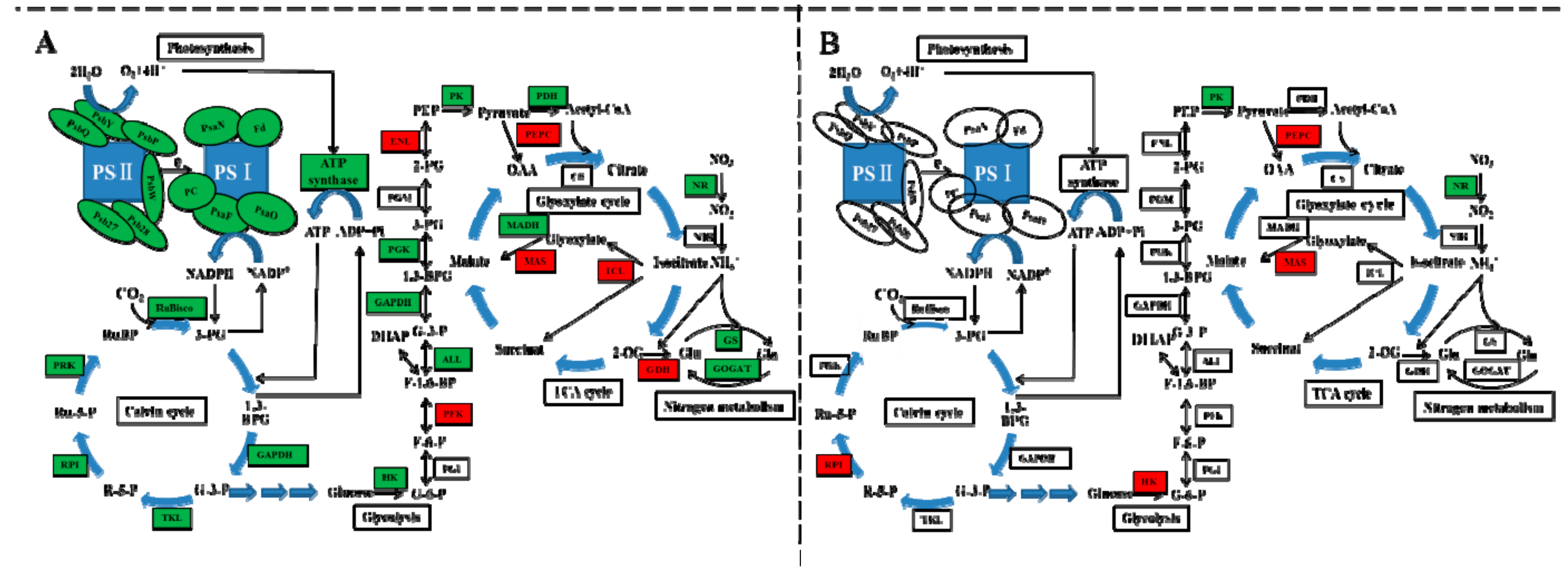 Ijms 21 00774 g007 Ijms 21 00774 g007