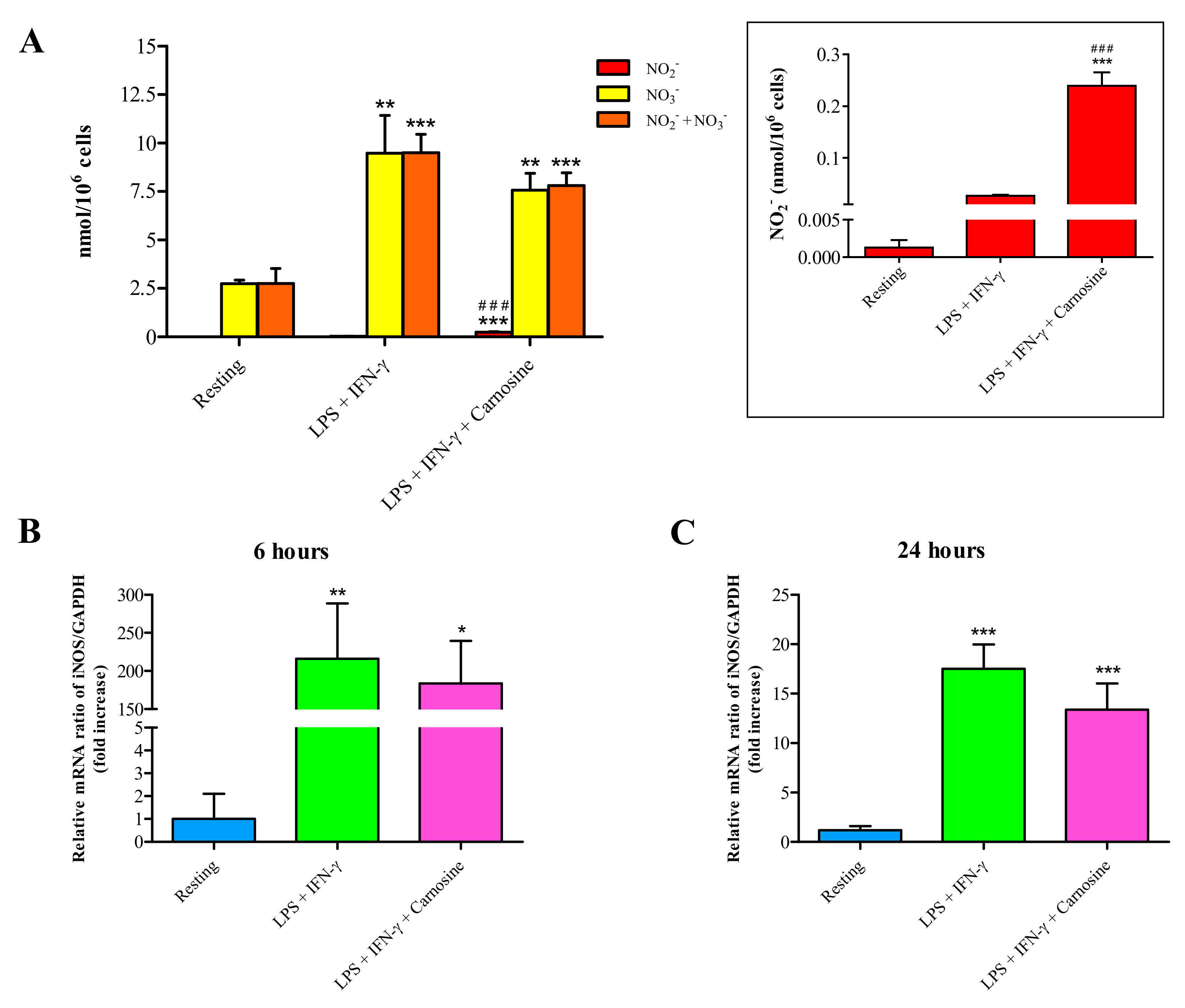 Ijms 21 00776 g002 Ijms 21 00776 g002