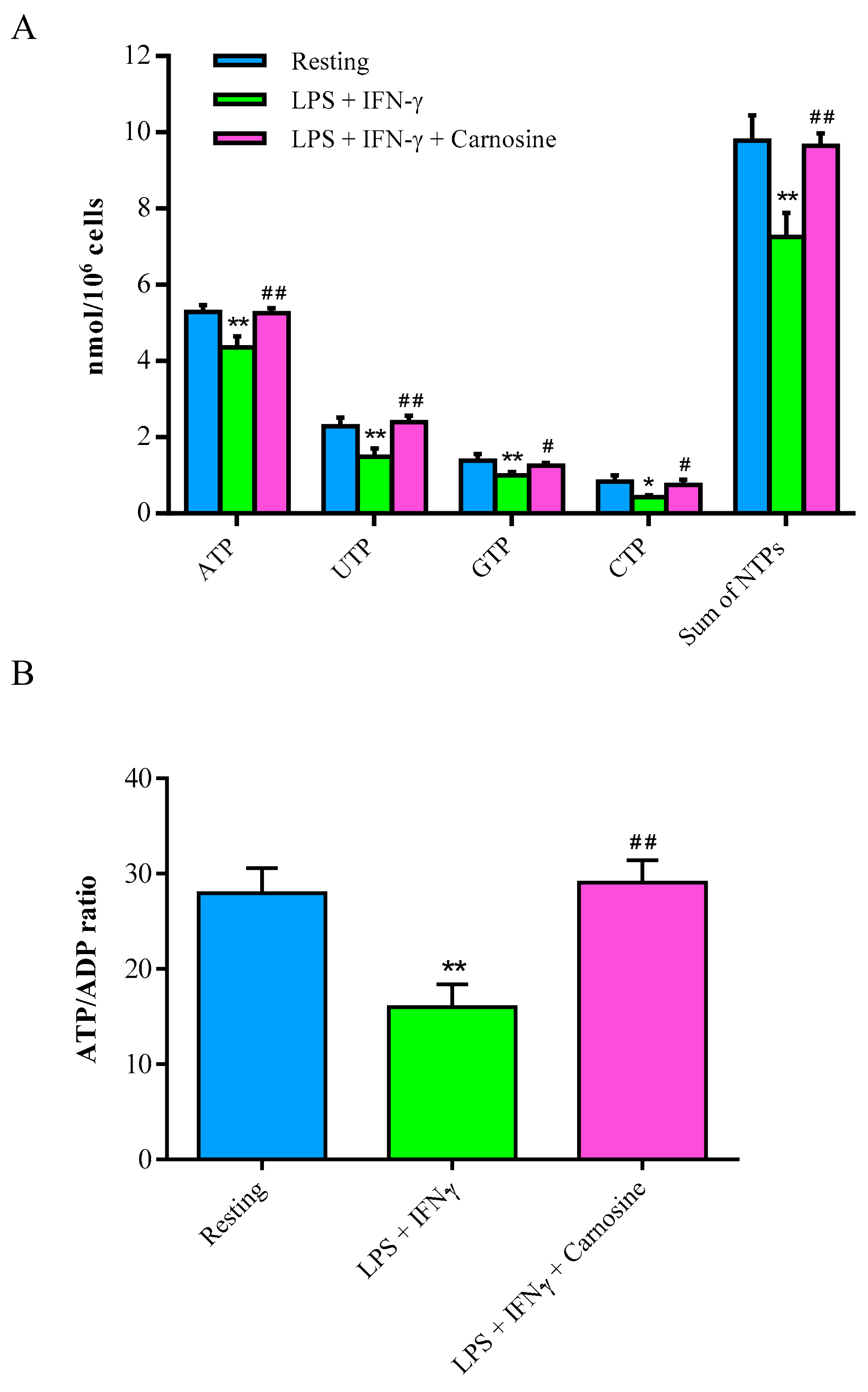 Ijms 21 00776 g003 Ijms 21 00776 g003