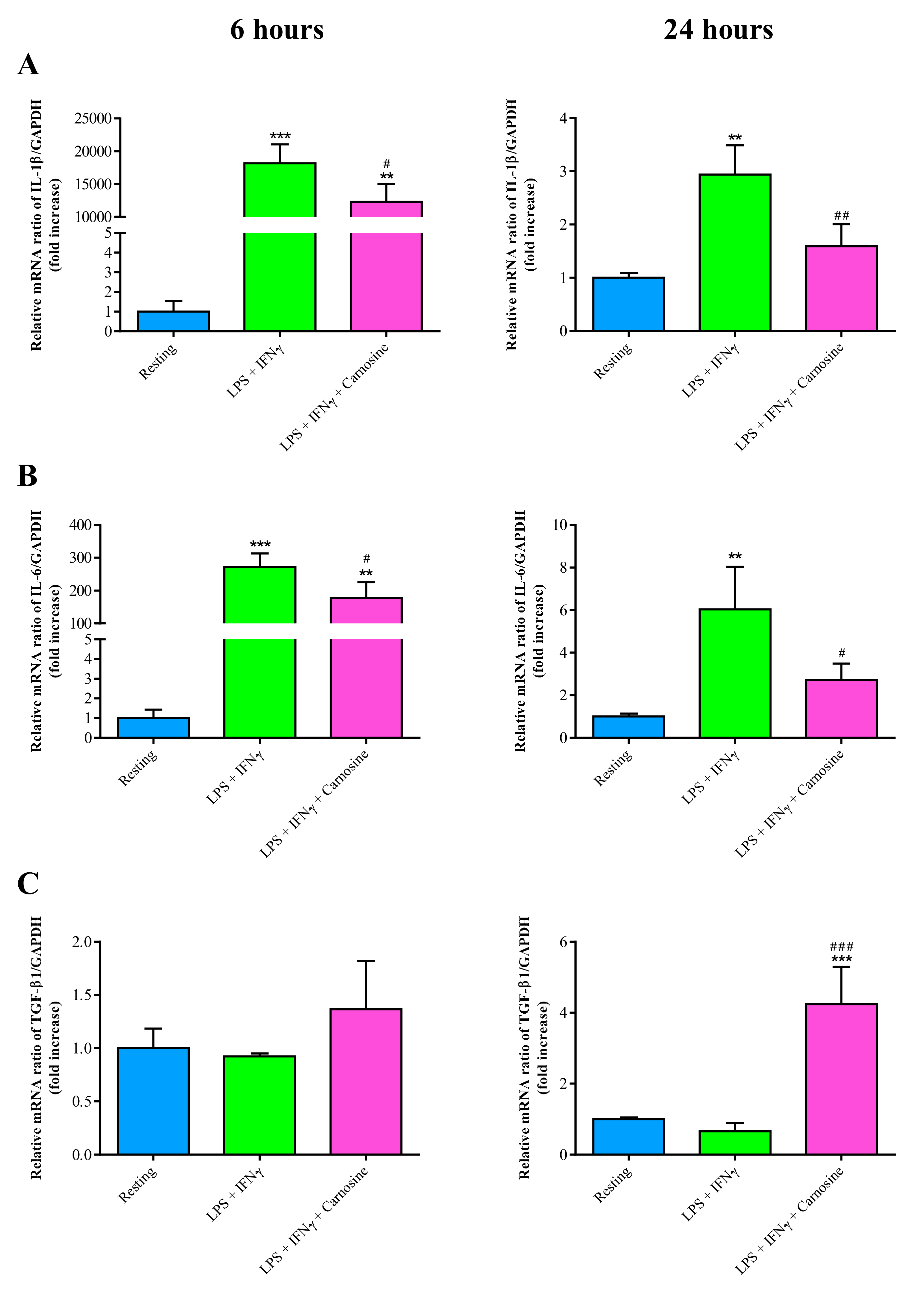Ijms 21 00776 g007 Ijms 21 00776 g007