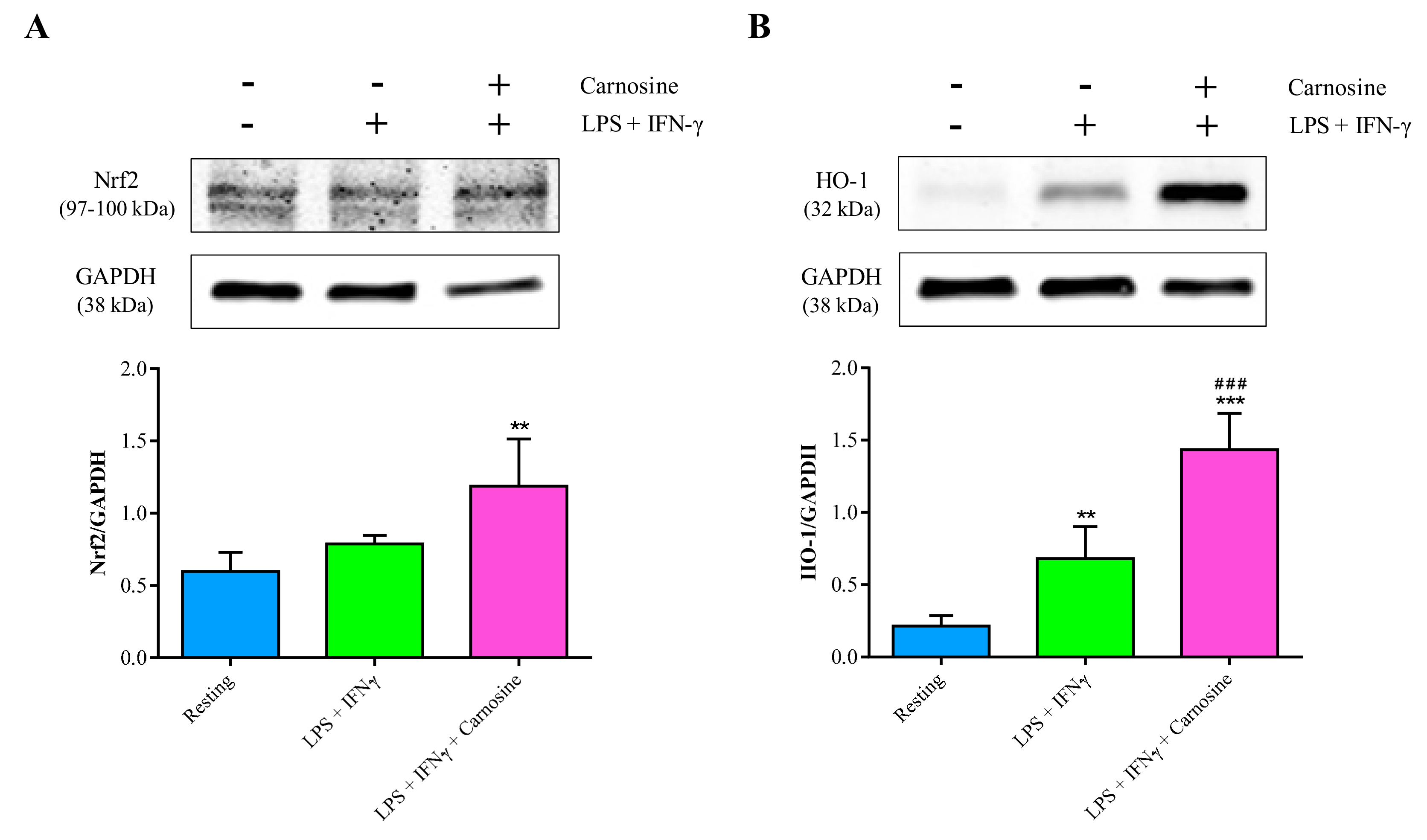 Ijms 21 00776 g008 Ijms 21 00776 g008