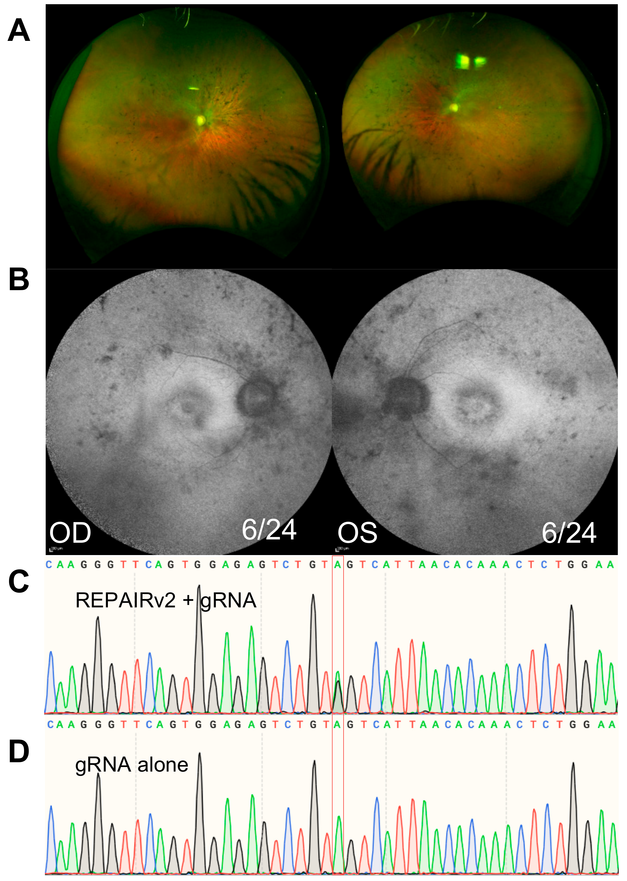 Ijms 21 00777 g005 Ijms 21 00777 g005