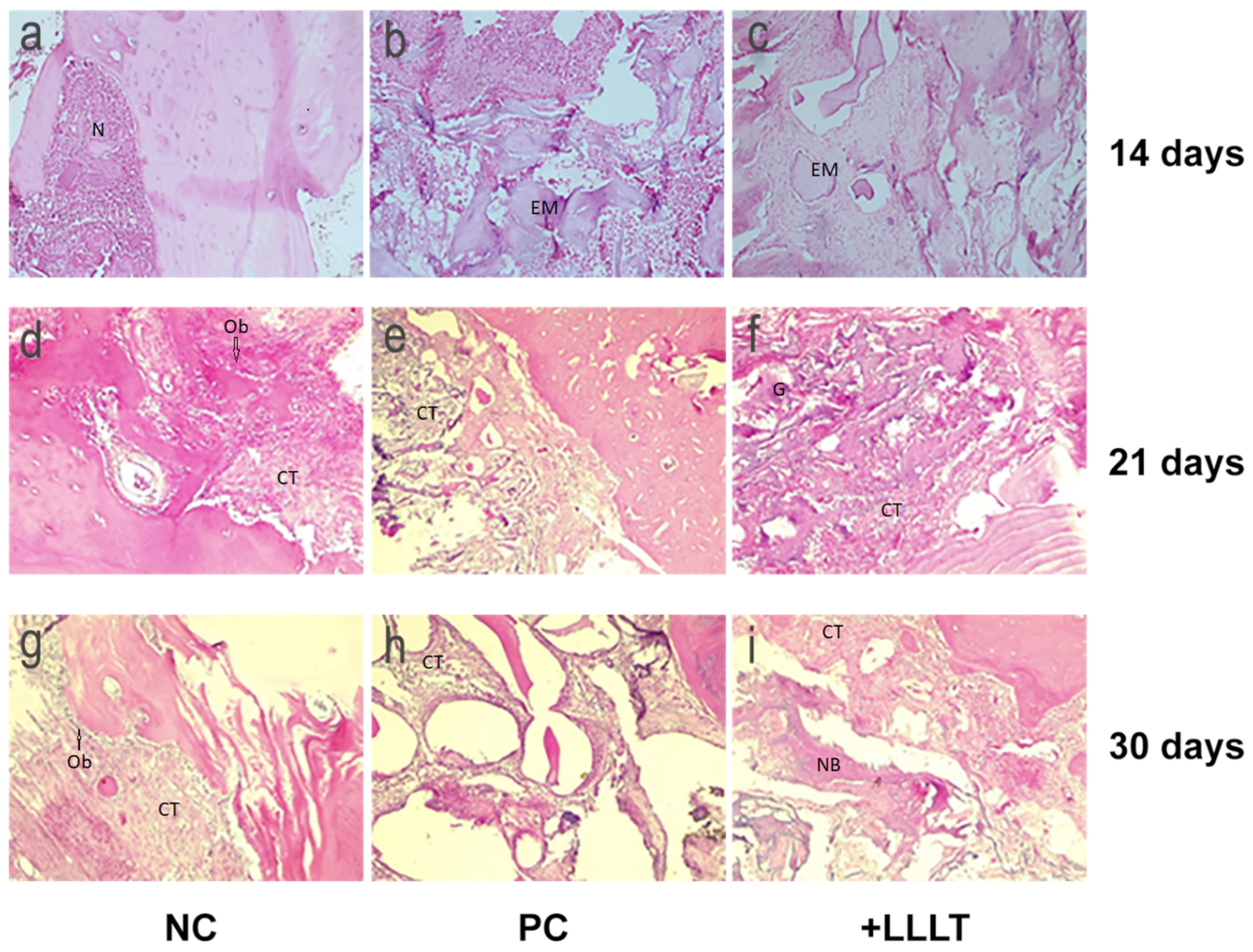 Ijms 21 00778 g004 Ijms 21 00778 g004