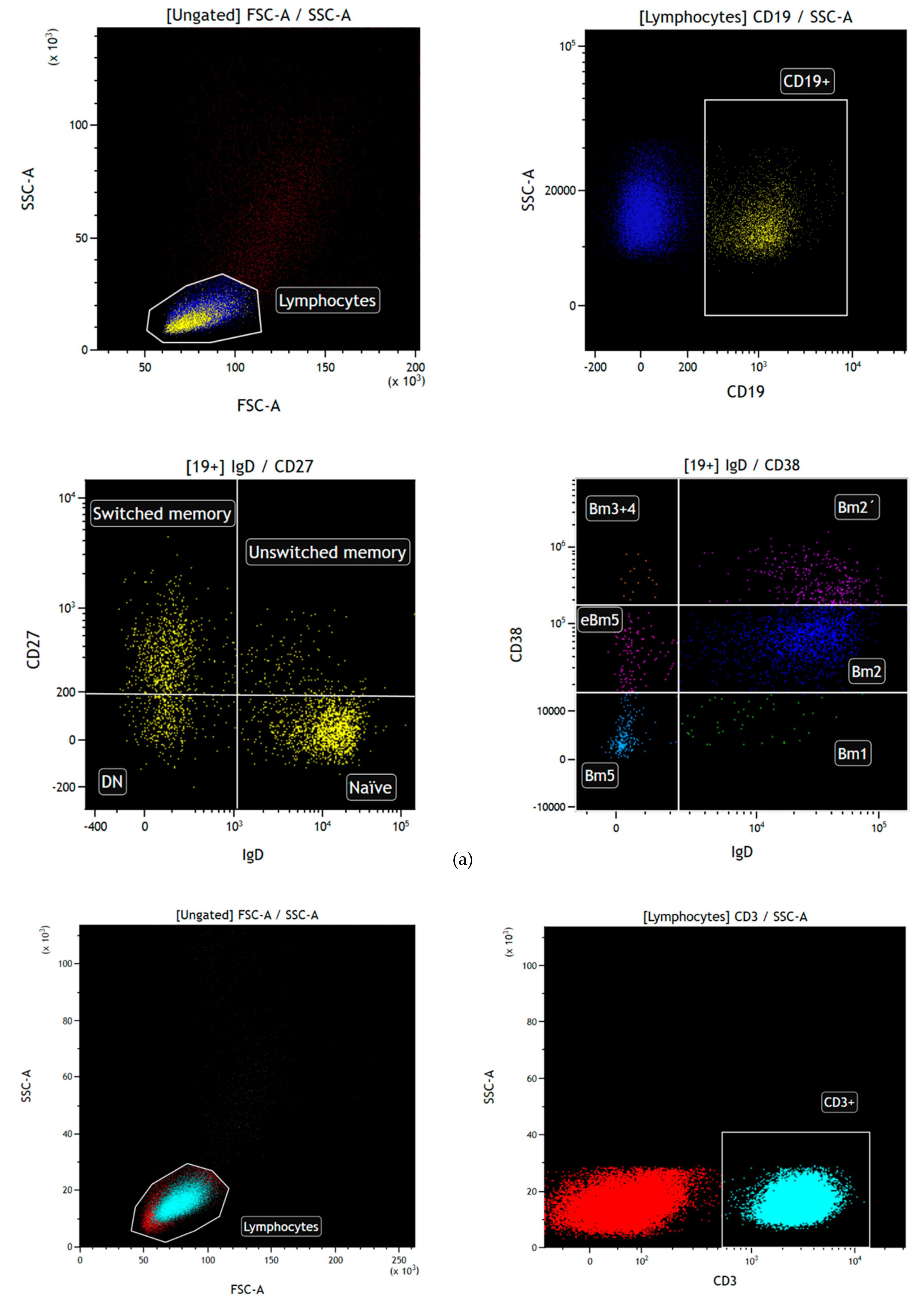 Ijms 21 00779 g009a Ijms 21 00779 g009a