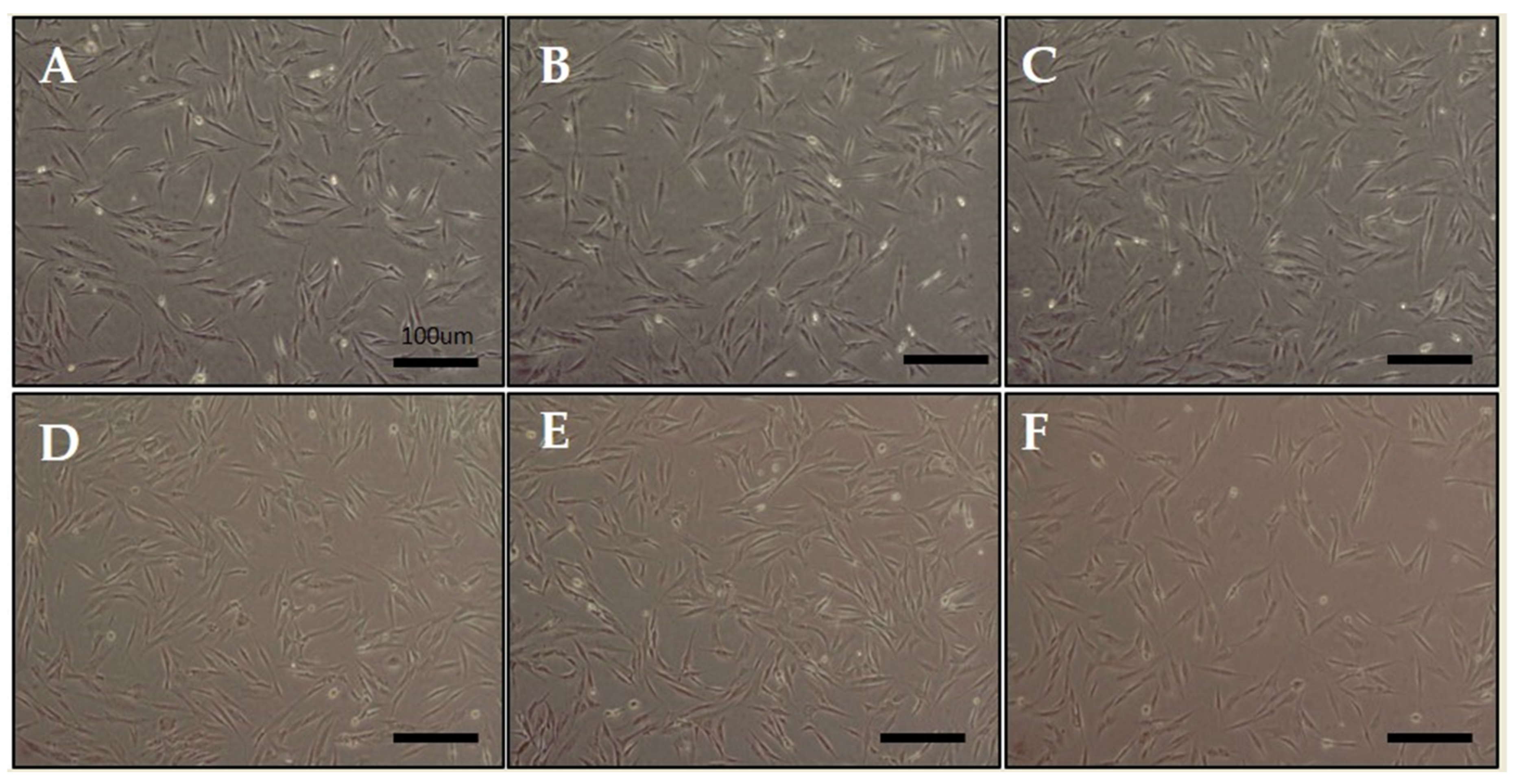 Ijms 21 00784 g001 Ijms 21 00784 g001