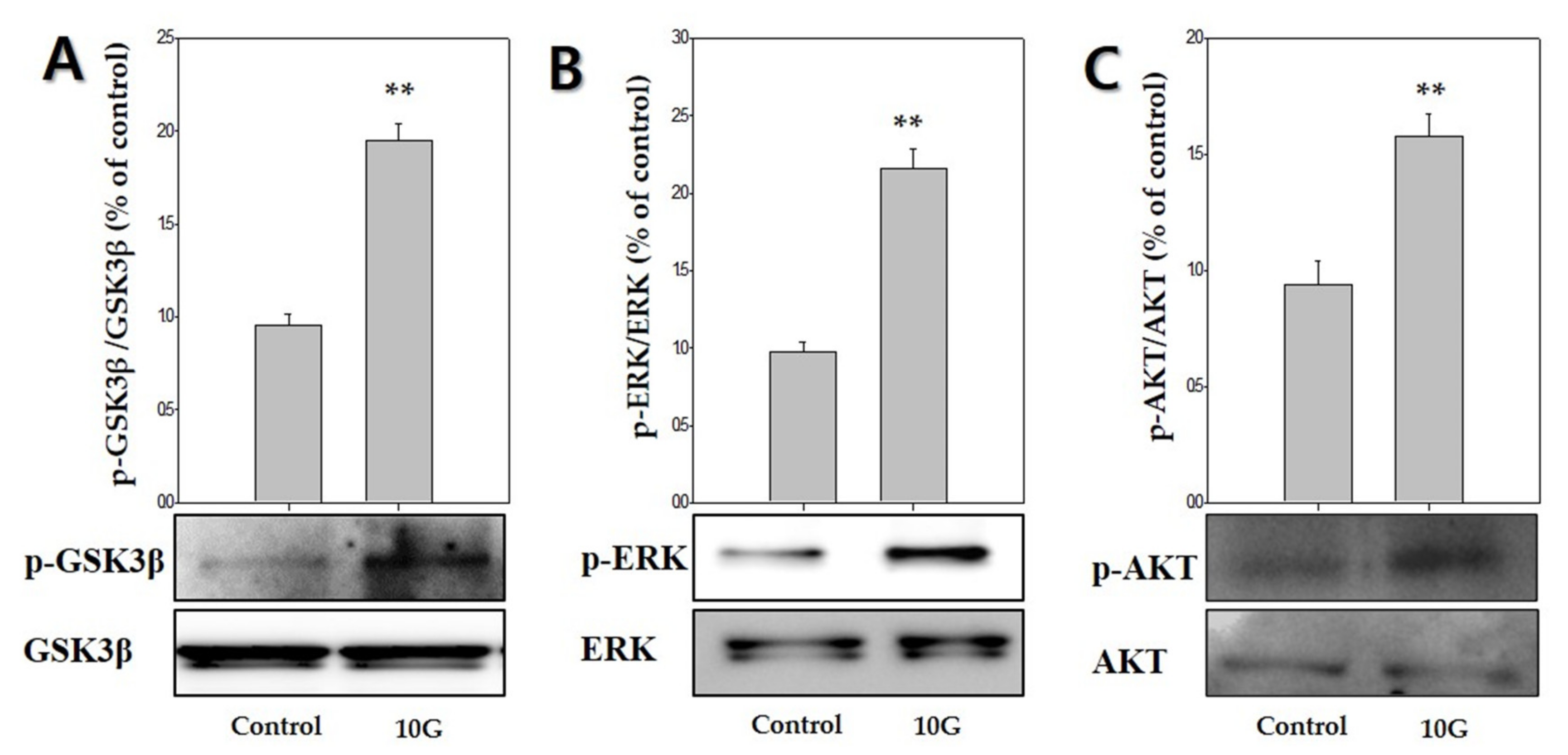 Ijms 21 00784 g005 Ijms 21 00784 g005