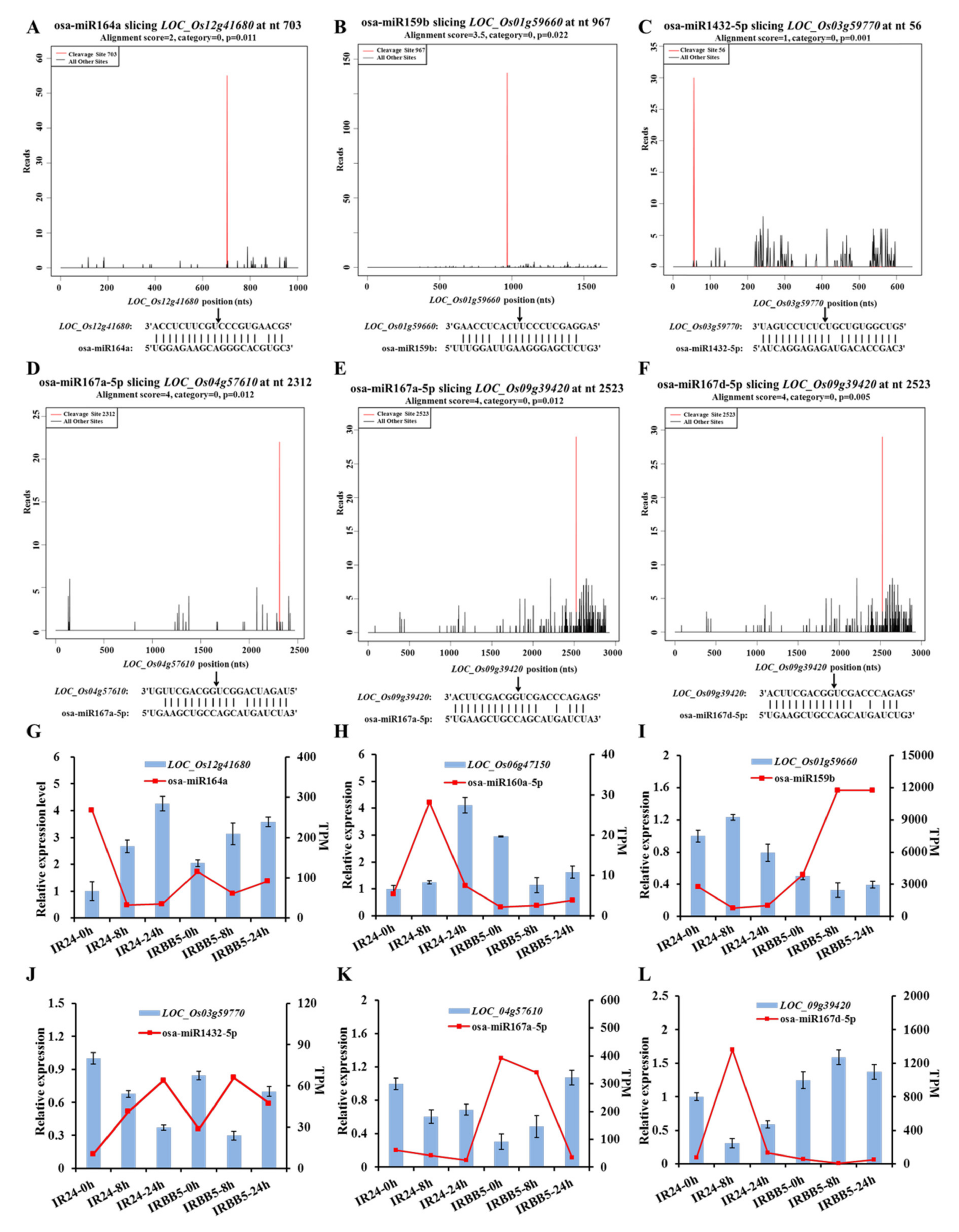 Ijms 21 00785 g006 Ijms 21 00785 g006