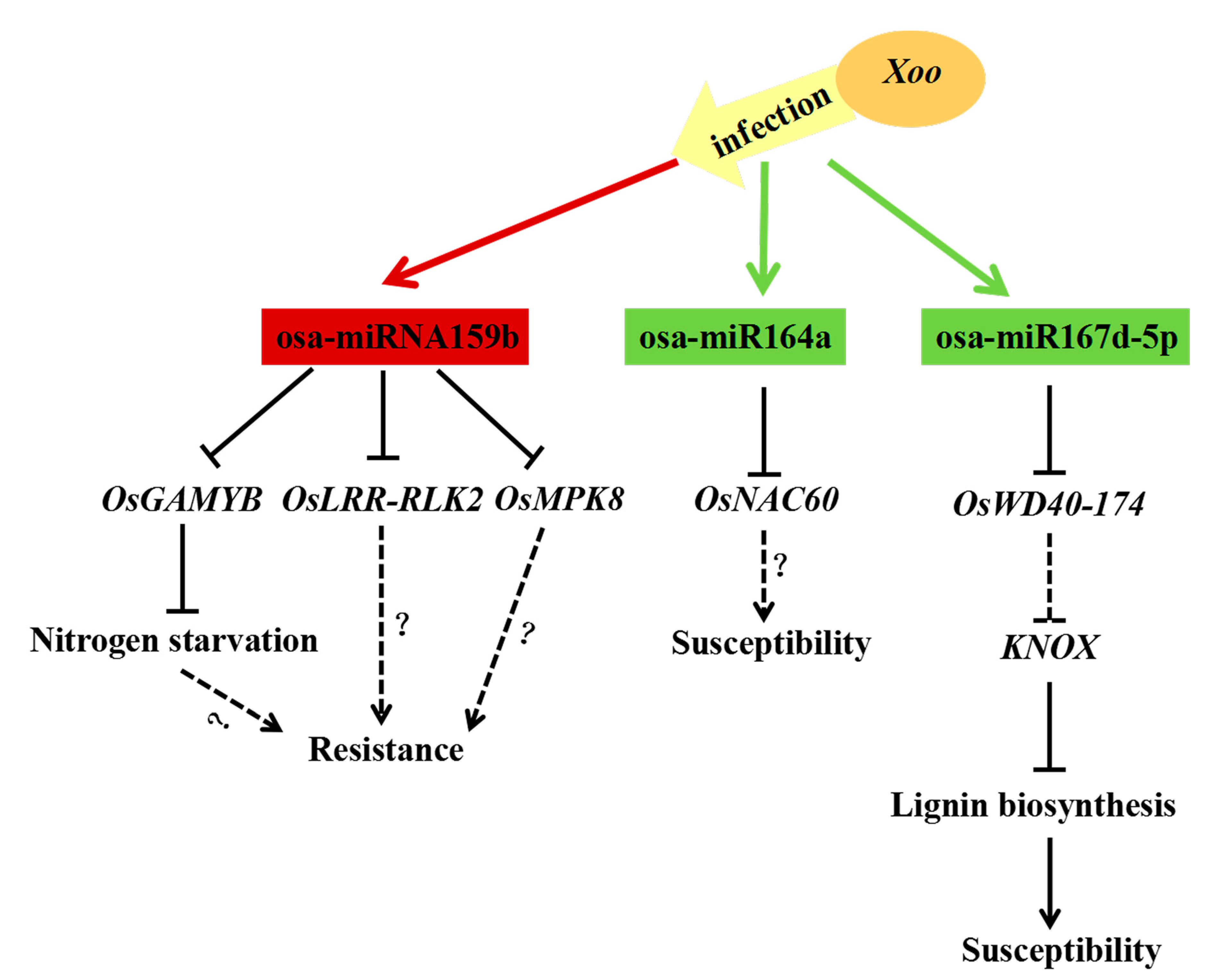 Ijms 21 00785 g008 Ijms 21 00785 g008