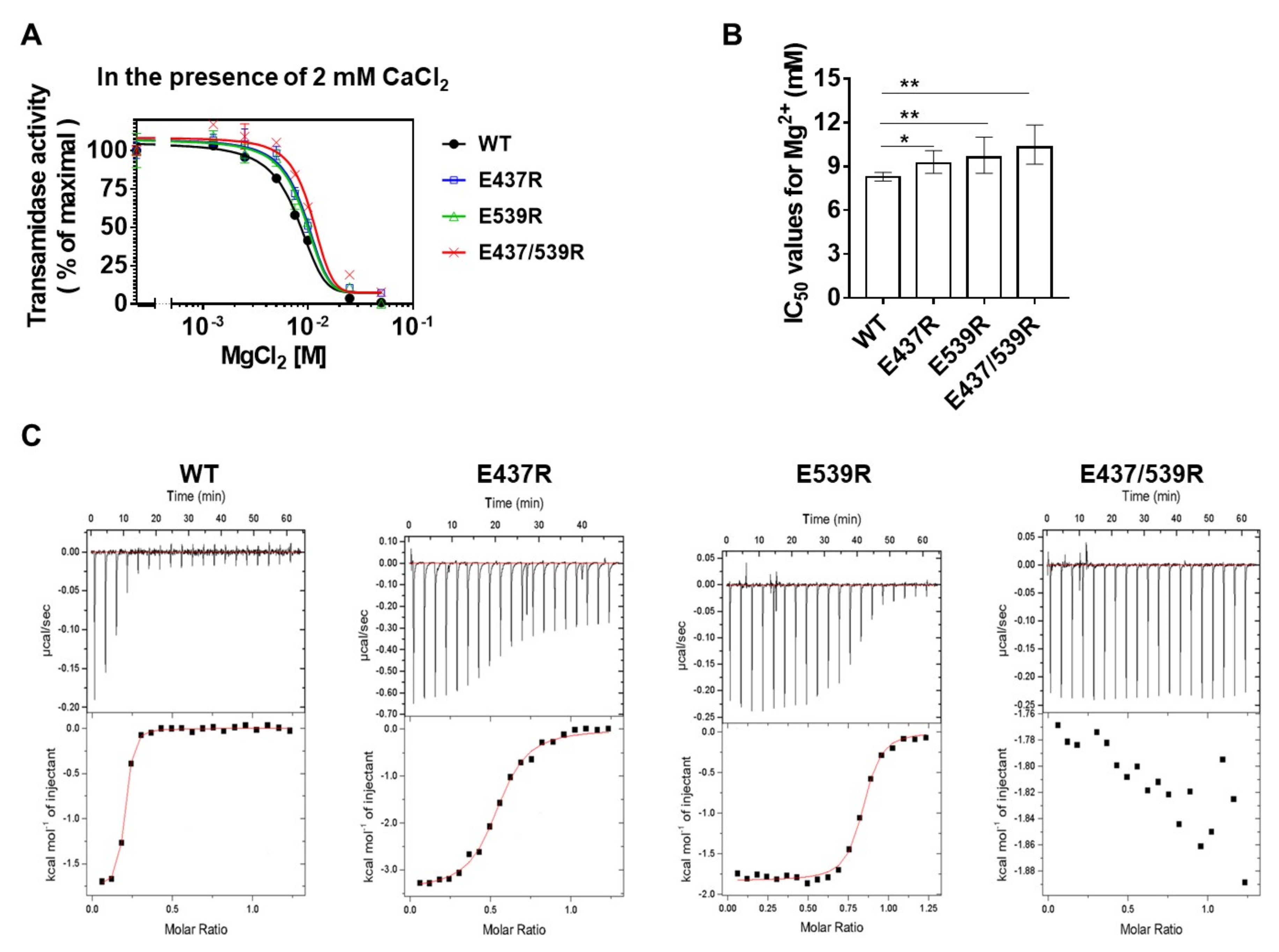 Ijms 21 00791 g004 Ijms 21 00791 g004