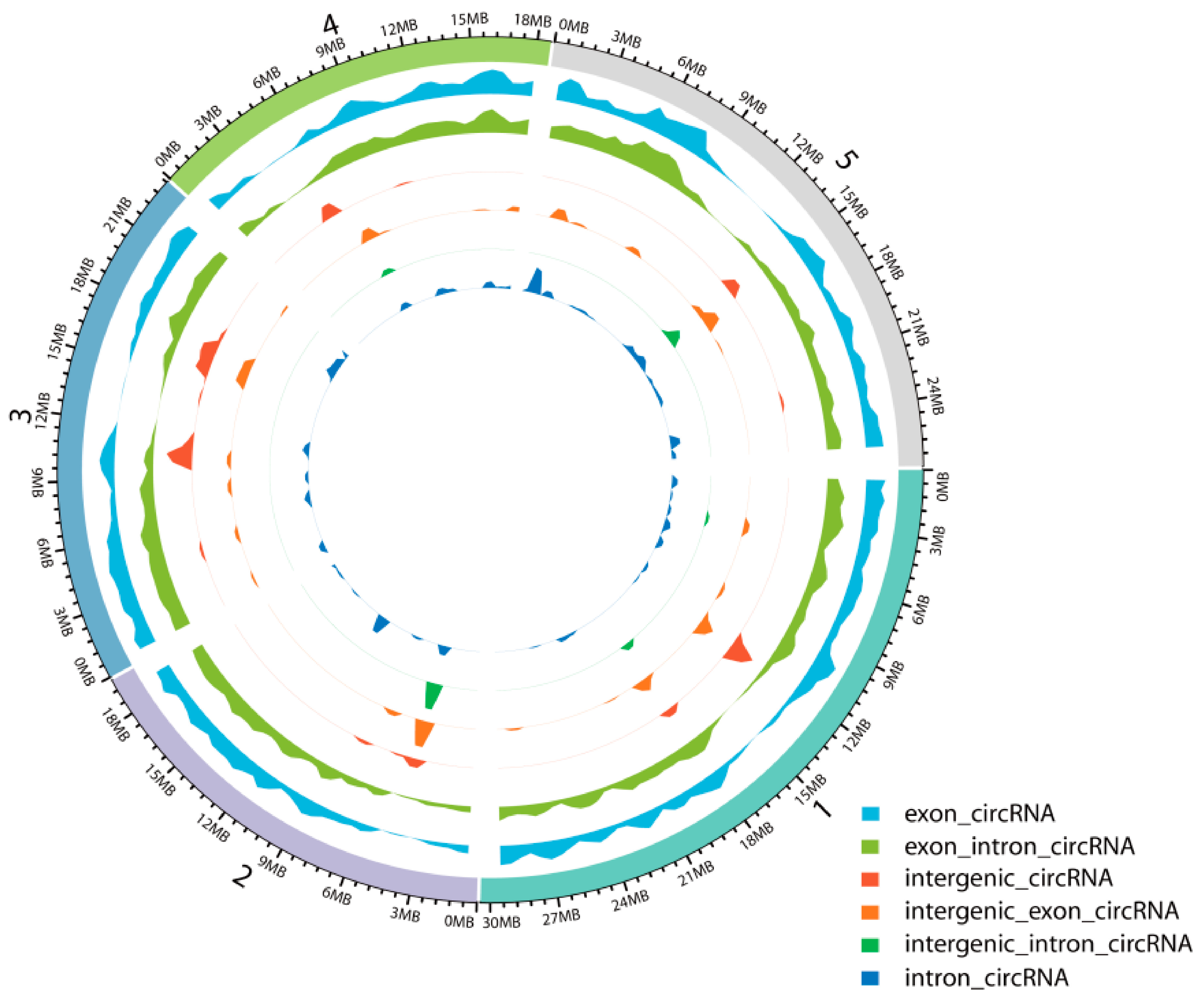 Ijms 21 00792 g001 Ijms 21 00792 g001