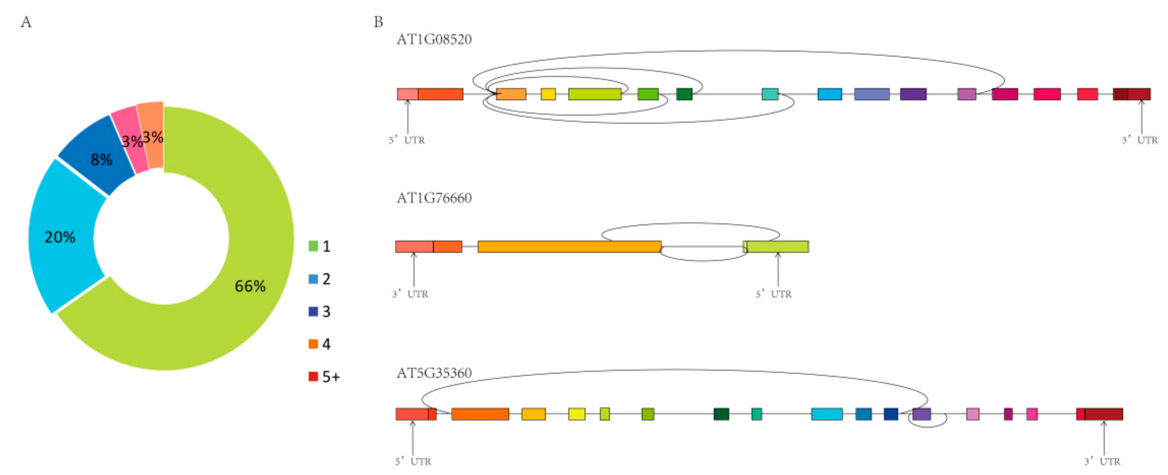 Ijms 21 00792 g003 Ijms 21 00792 g003