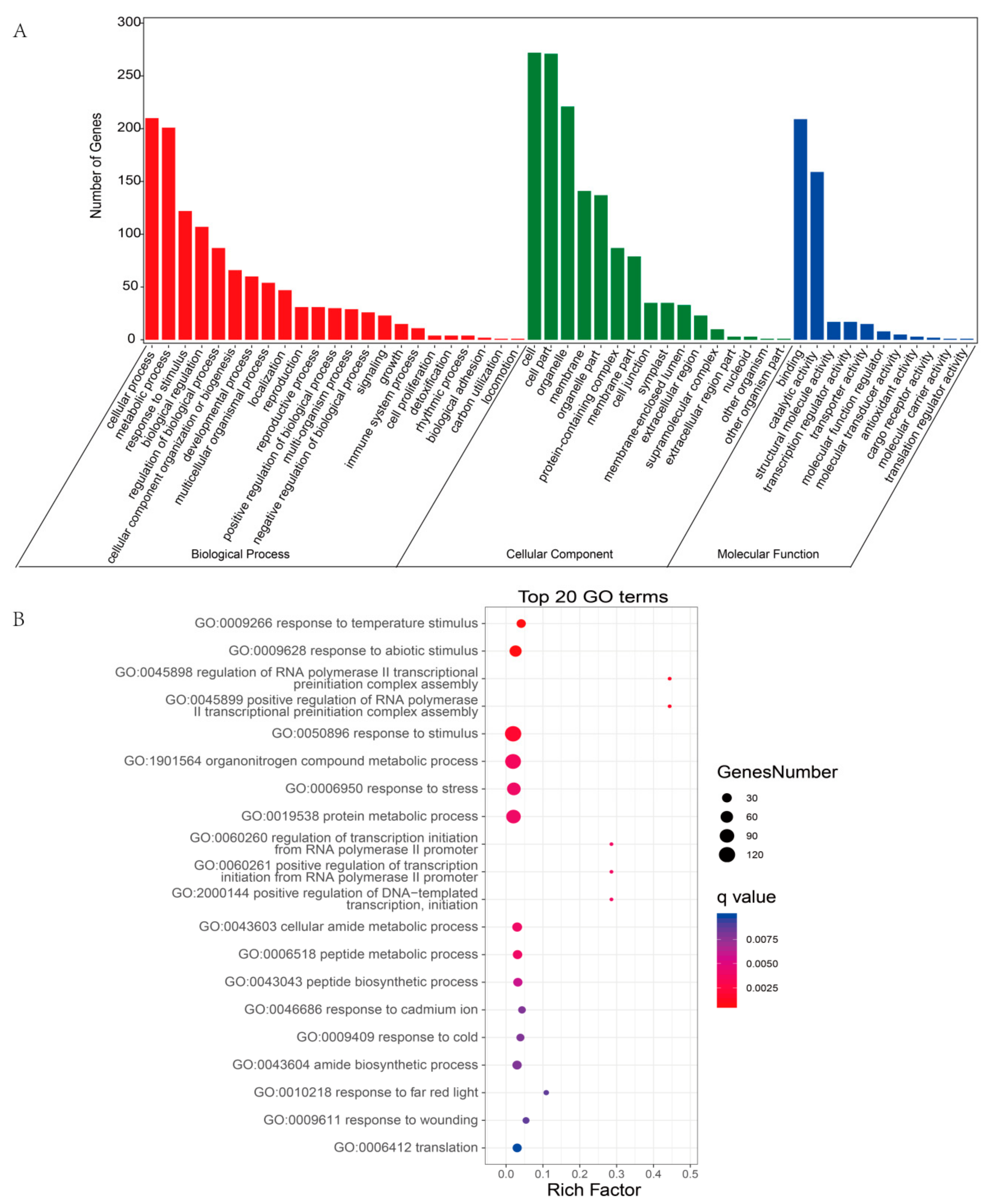 Ijms 21 00792 g007 Ijms 21 00792 g007