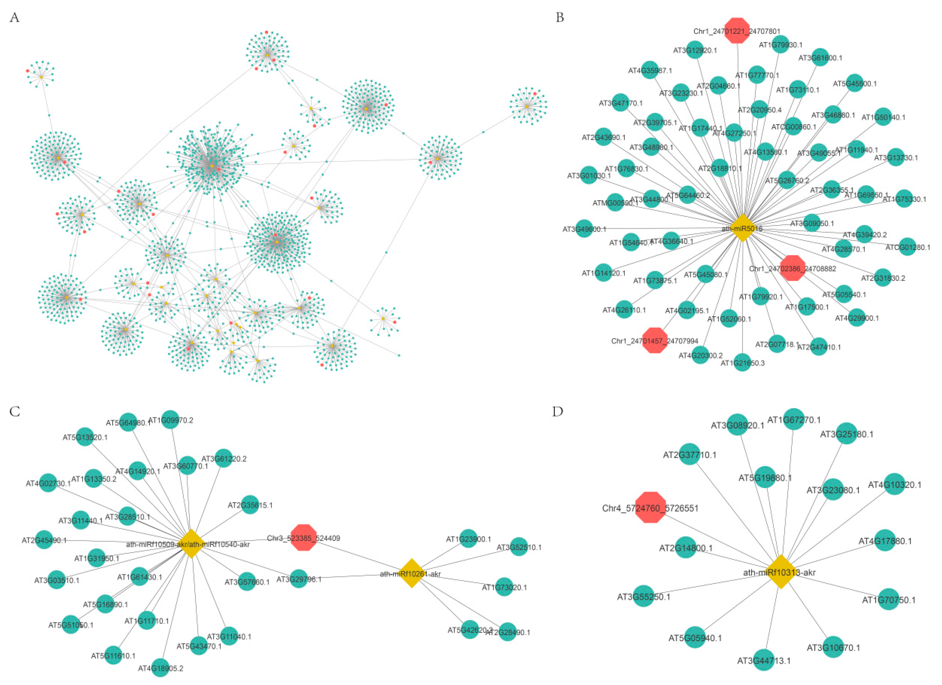 Ijms 21 00792 g008 Ijms 21 00792 g008