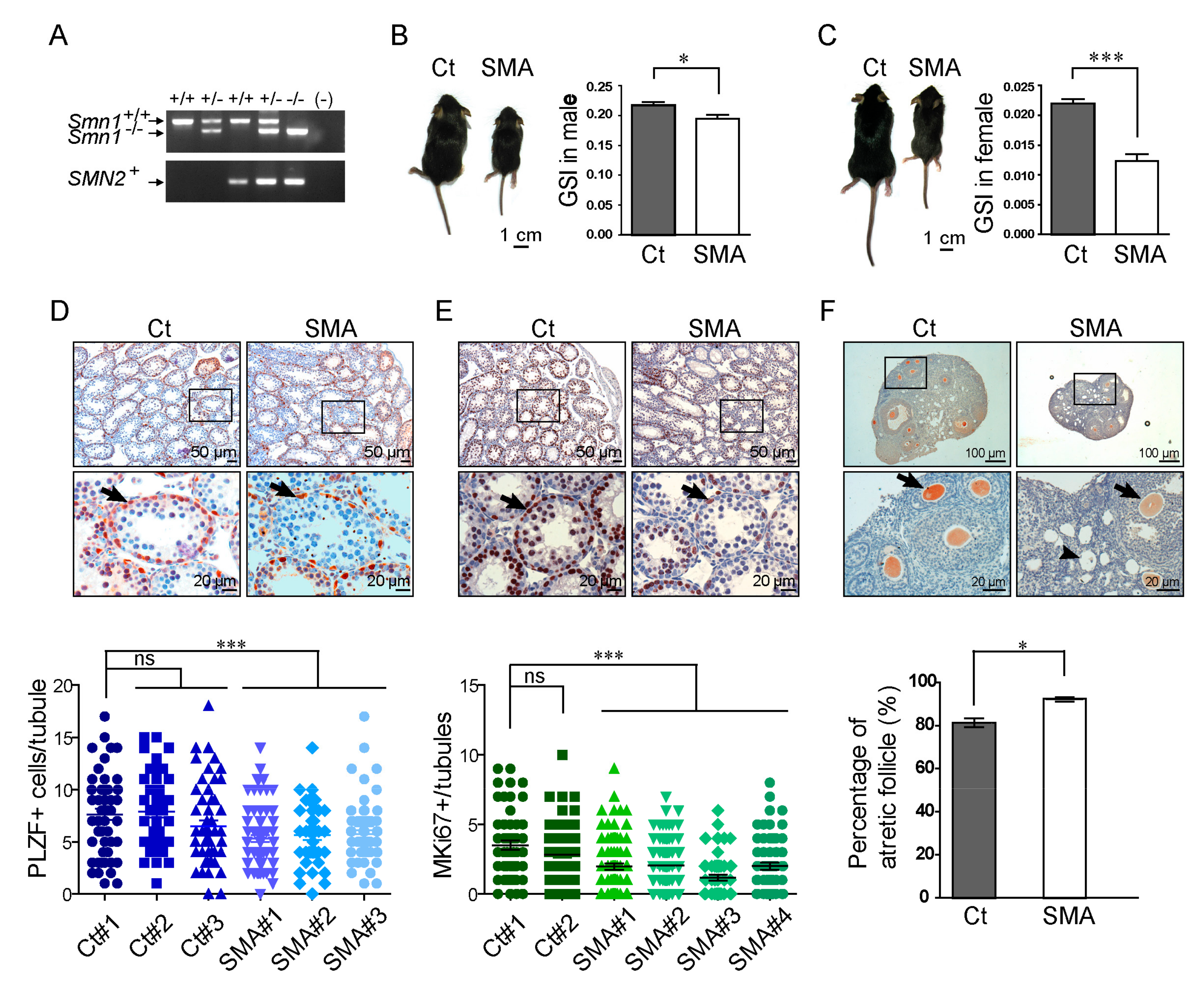 Ijms 21 00794 g002 Ijms 21 00794 g002
