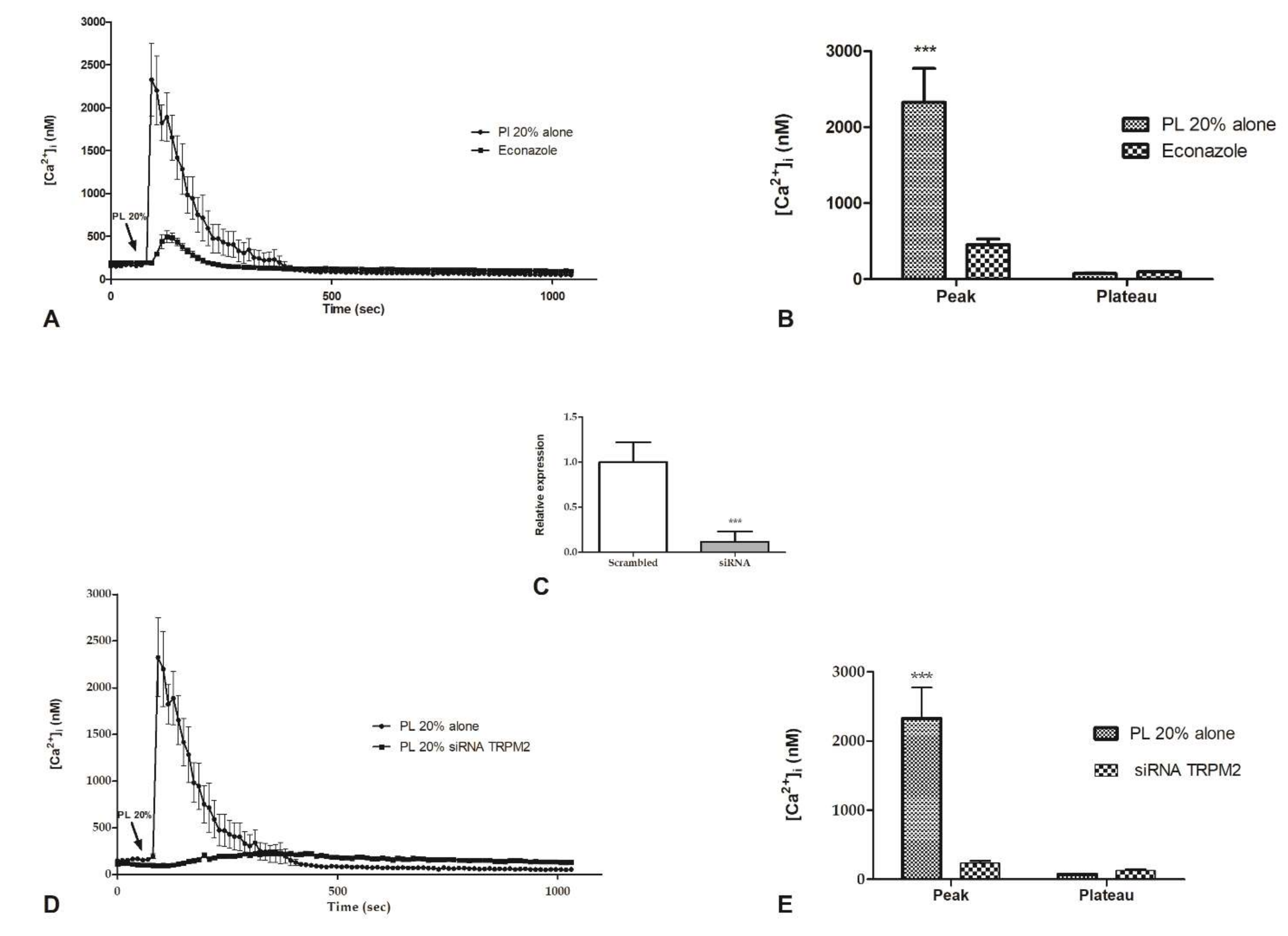Ijms 21 00808 g004 Ijms 21 00808 g004
