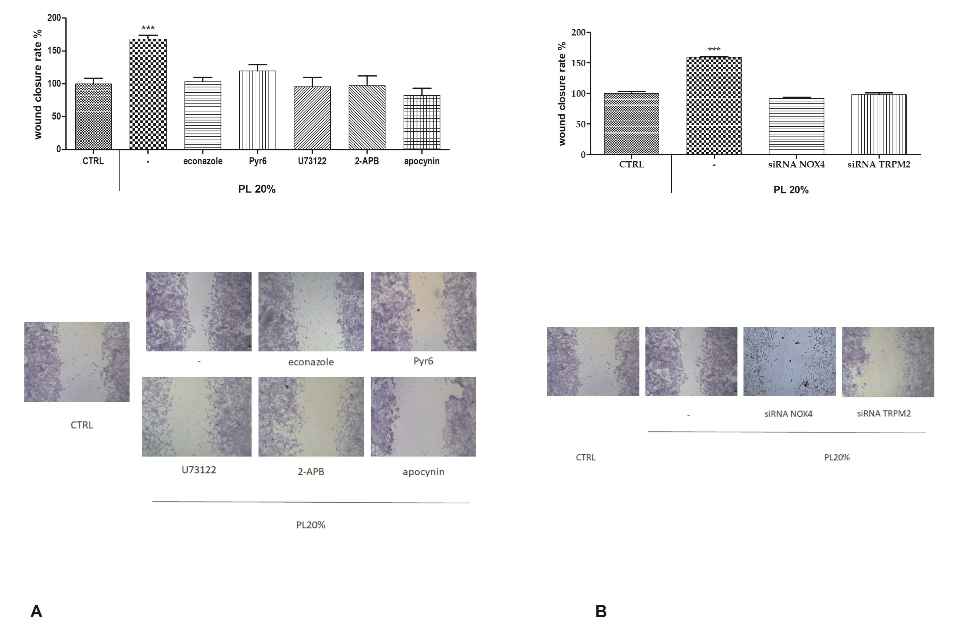 Ijms 21 00808 g008 Ijms 21 00808 g008