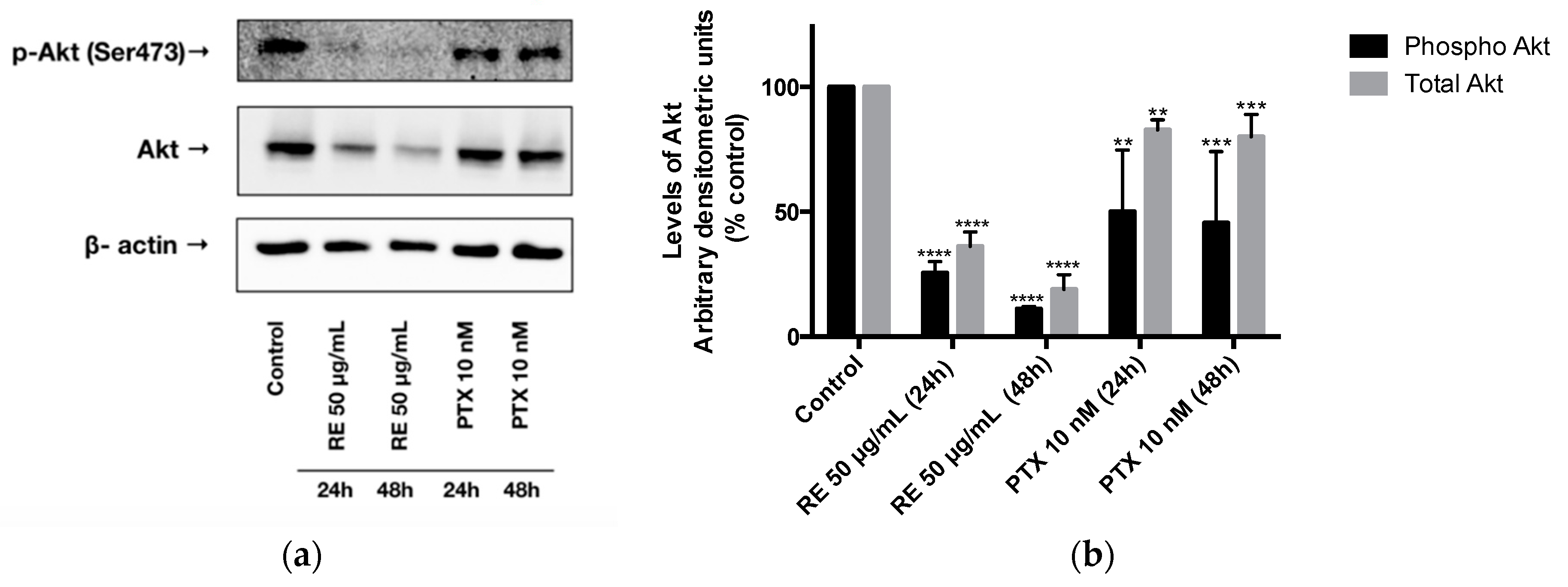 Ijms 21 00810 g003 Ijms 21 00810 g003