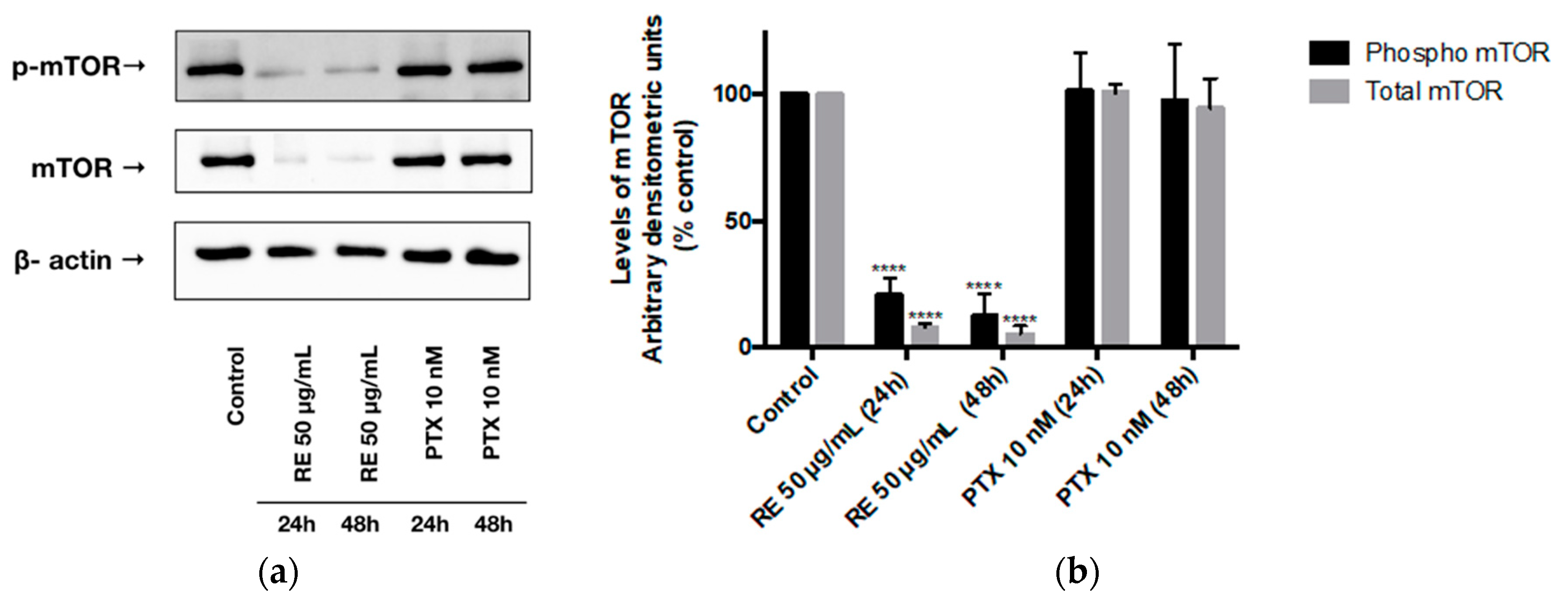 Ijms 21 00810 g004 Ijms 21 00810 g004