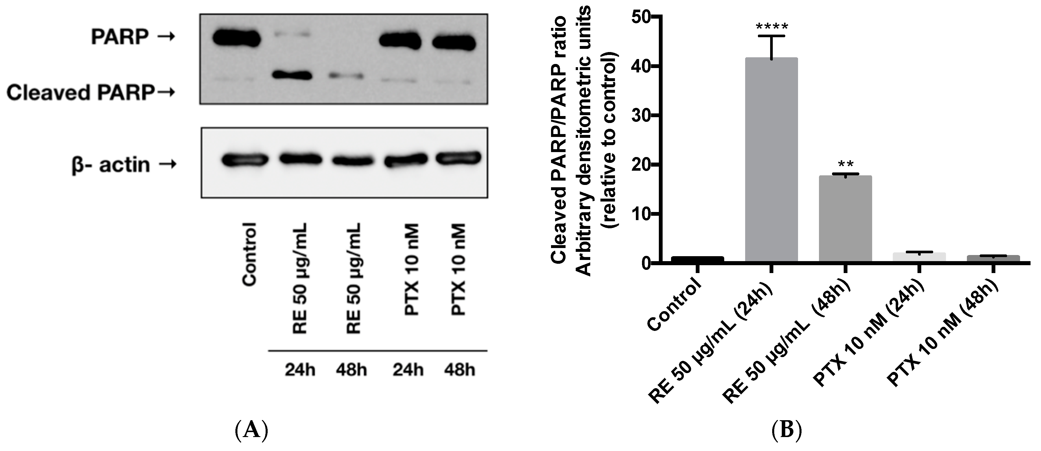 Ijms 21 00810 g005 Ijms 21 00810 g005