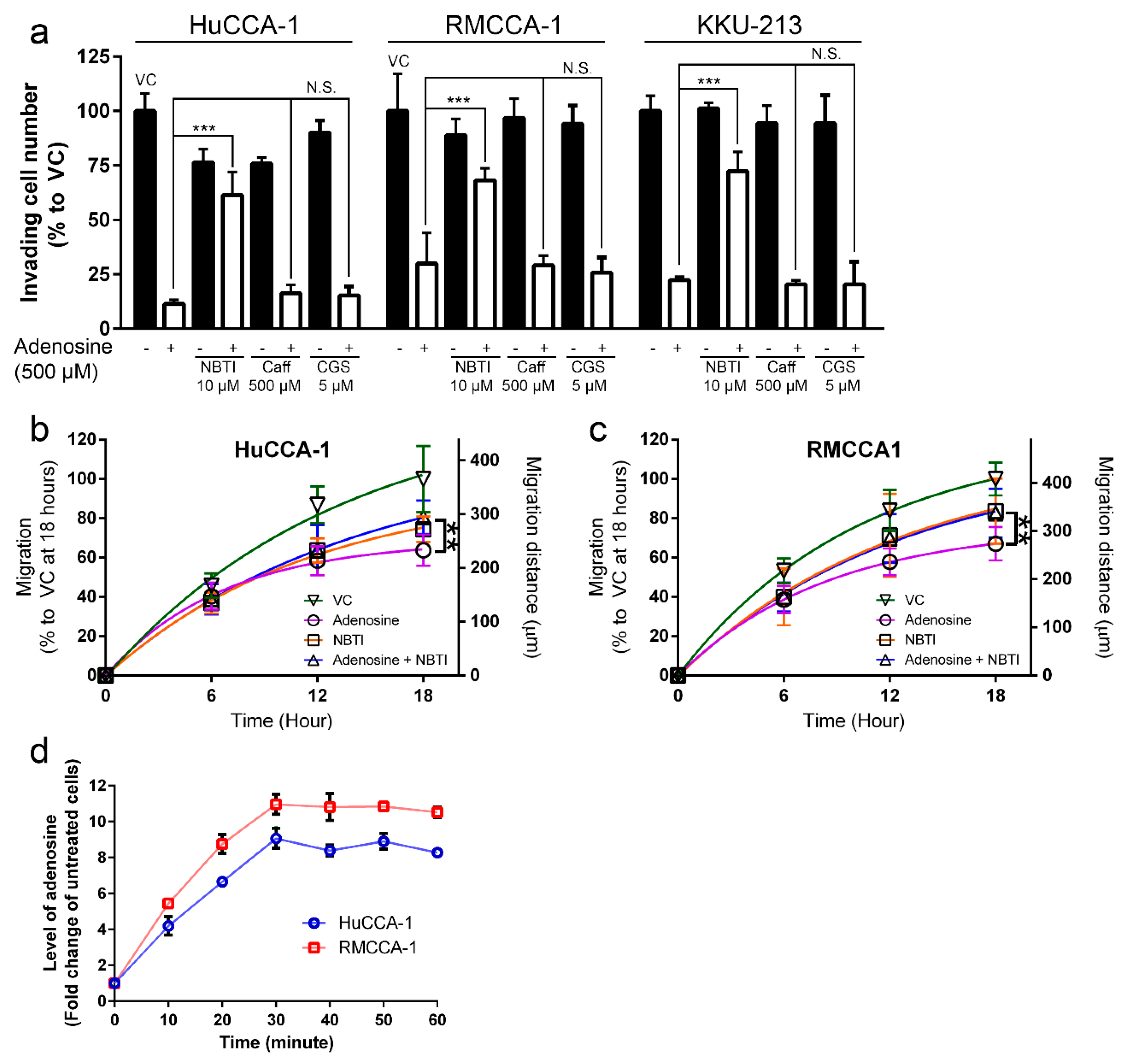Ijms 21 00814 g004 Ijms 21 00814 g004