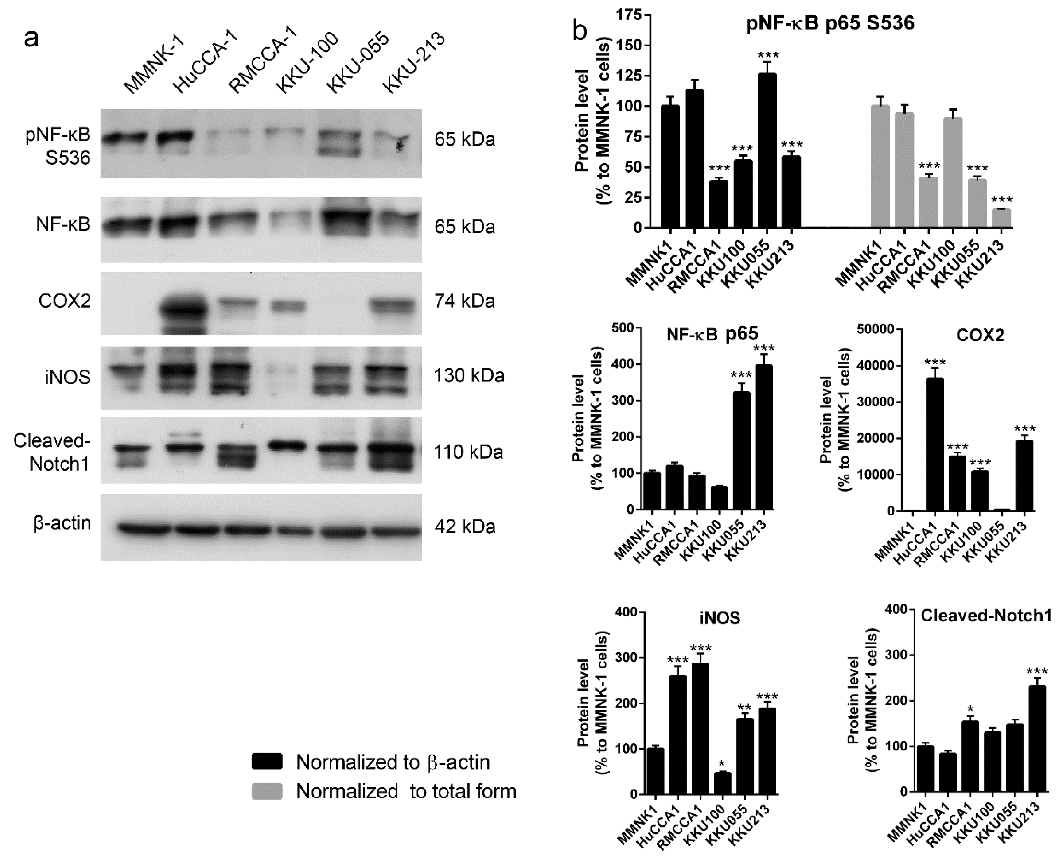 Ijms 21 00814 g005 Ijms 21 00814 g005