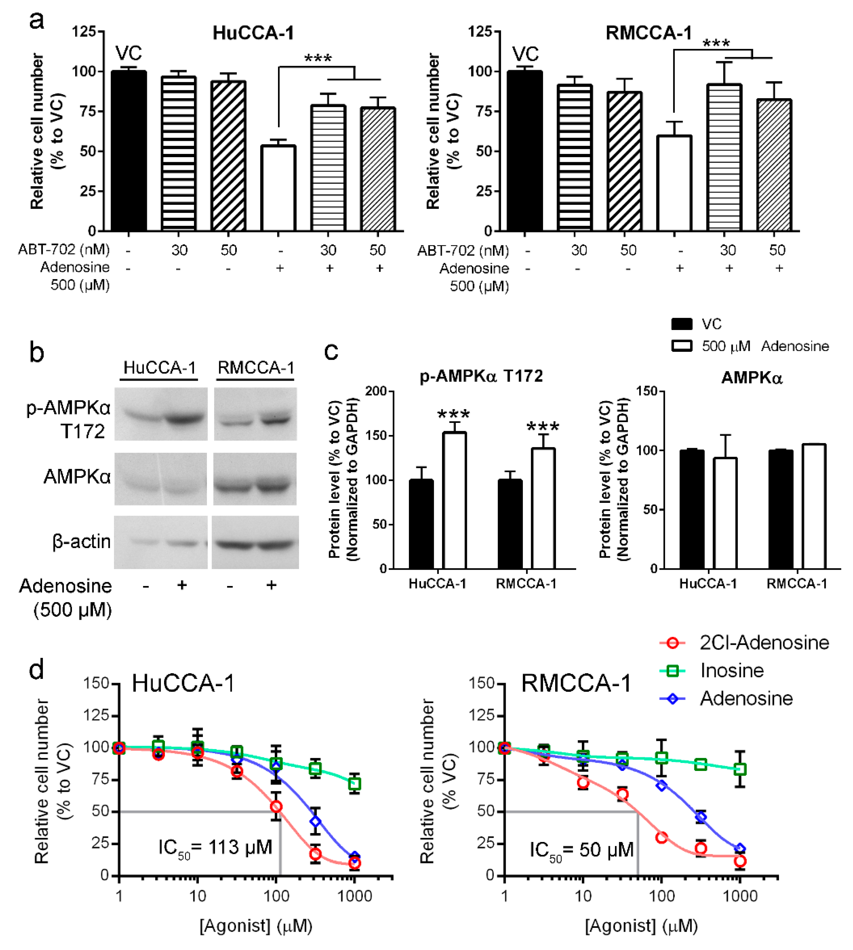 Ijms 21 00814 g006 Ijms 21 00814 g006