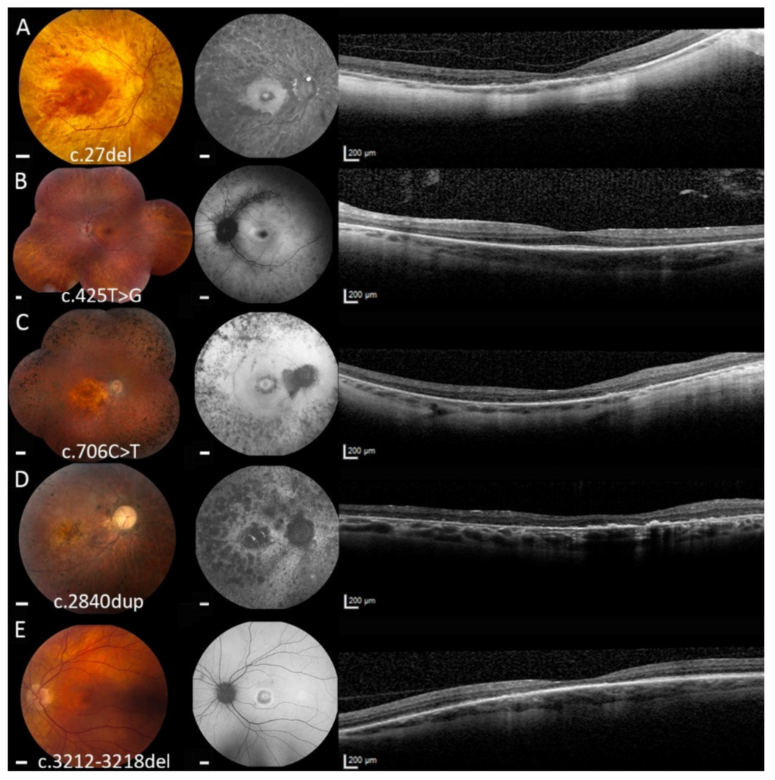 Ijms 21 00835 g002 Ijms 21 00835 g002