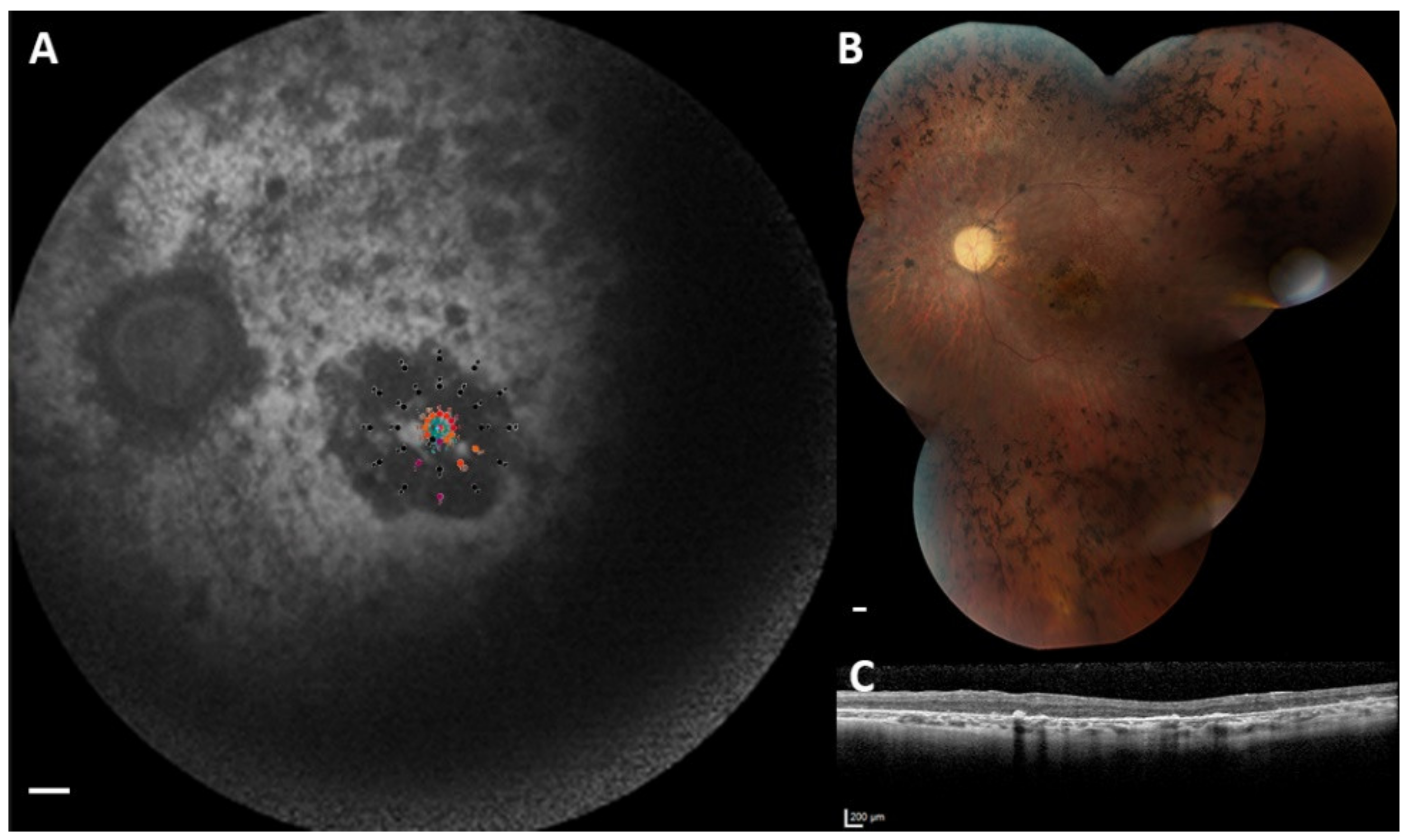 Ijms 21 00835 g003 Ijms 21 00835 g003