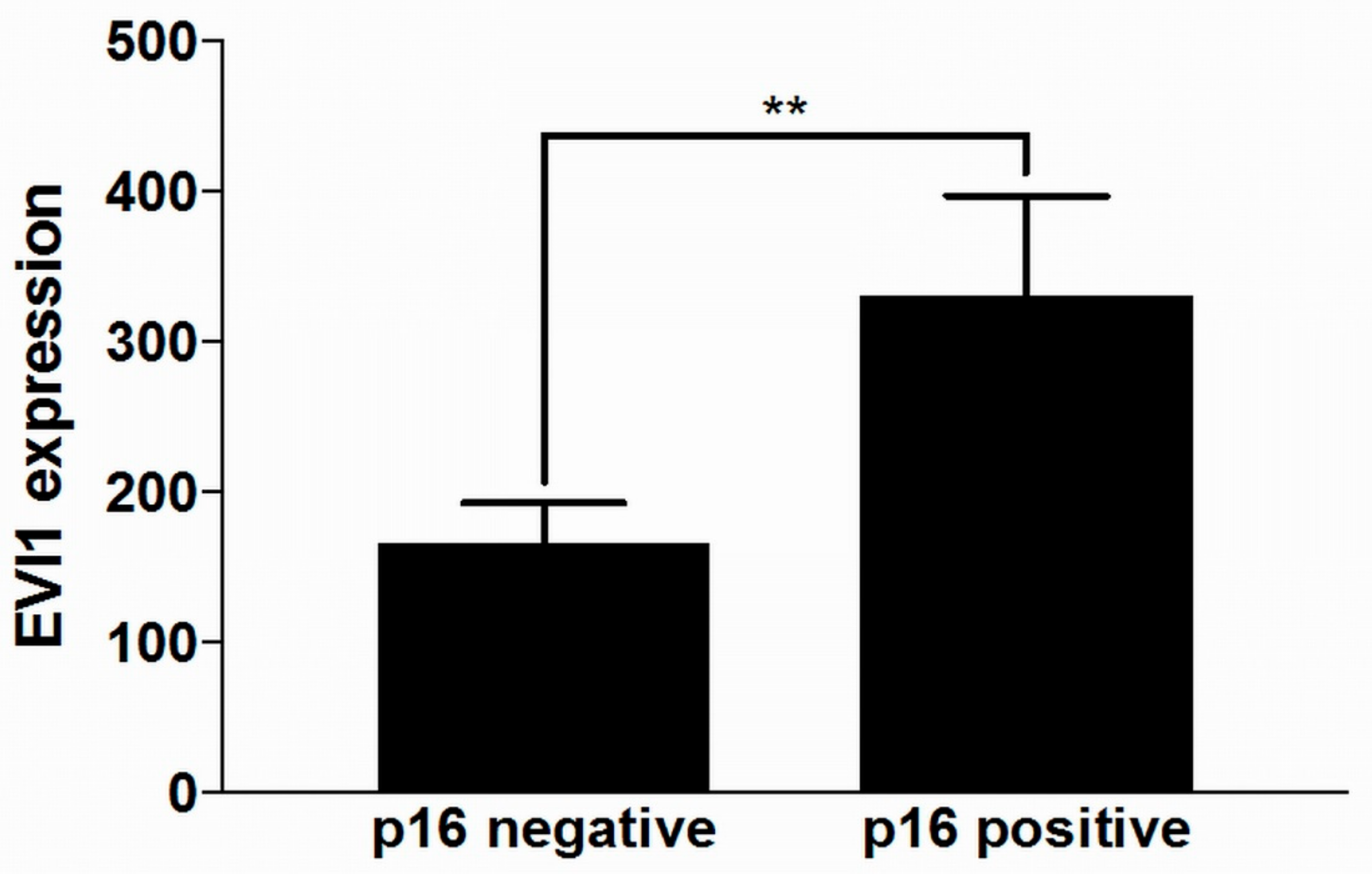 Ijms 21 00854 g003 Ijms 21 00854 g003