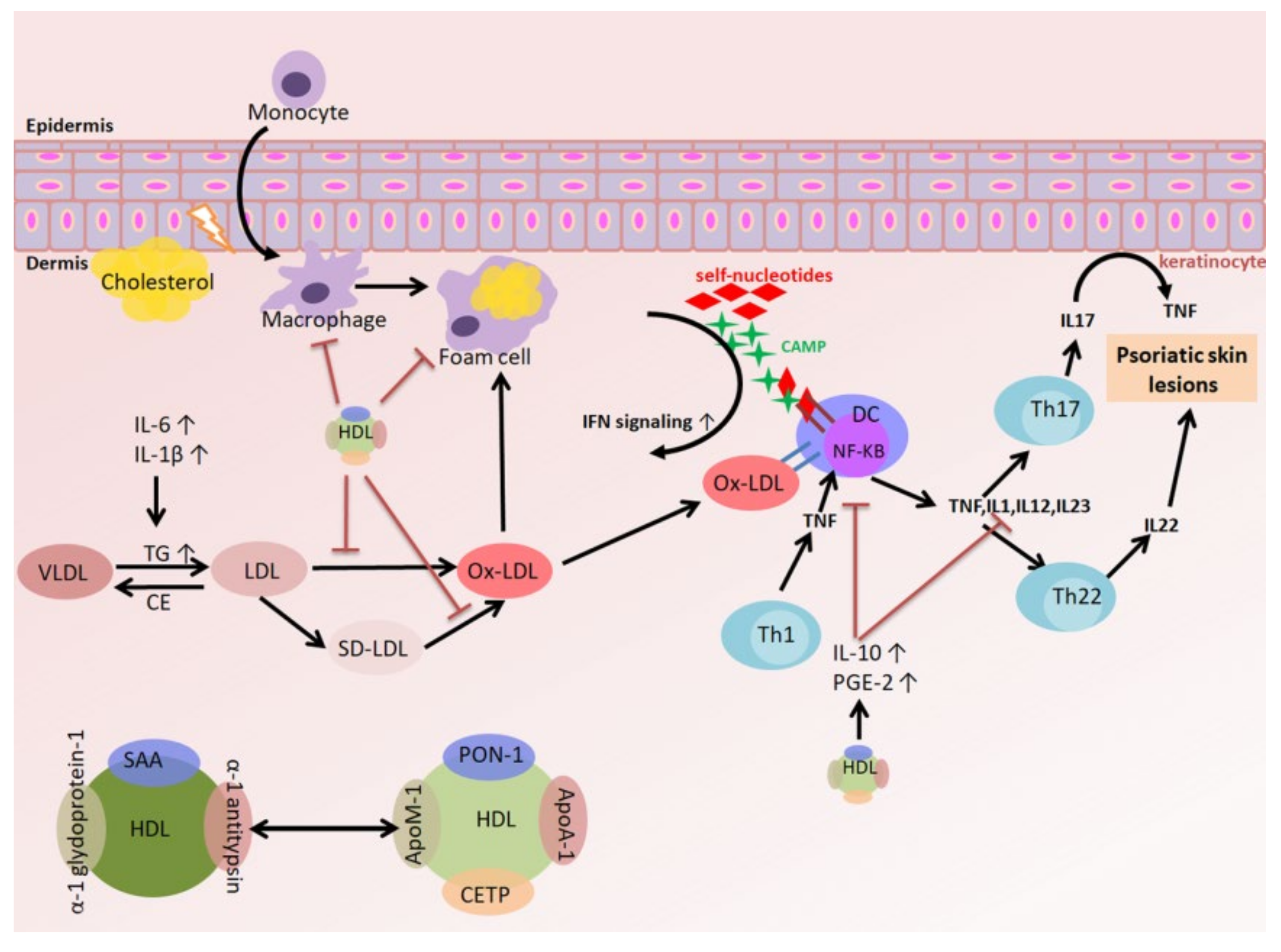 psoriasis and cholesterol