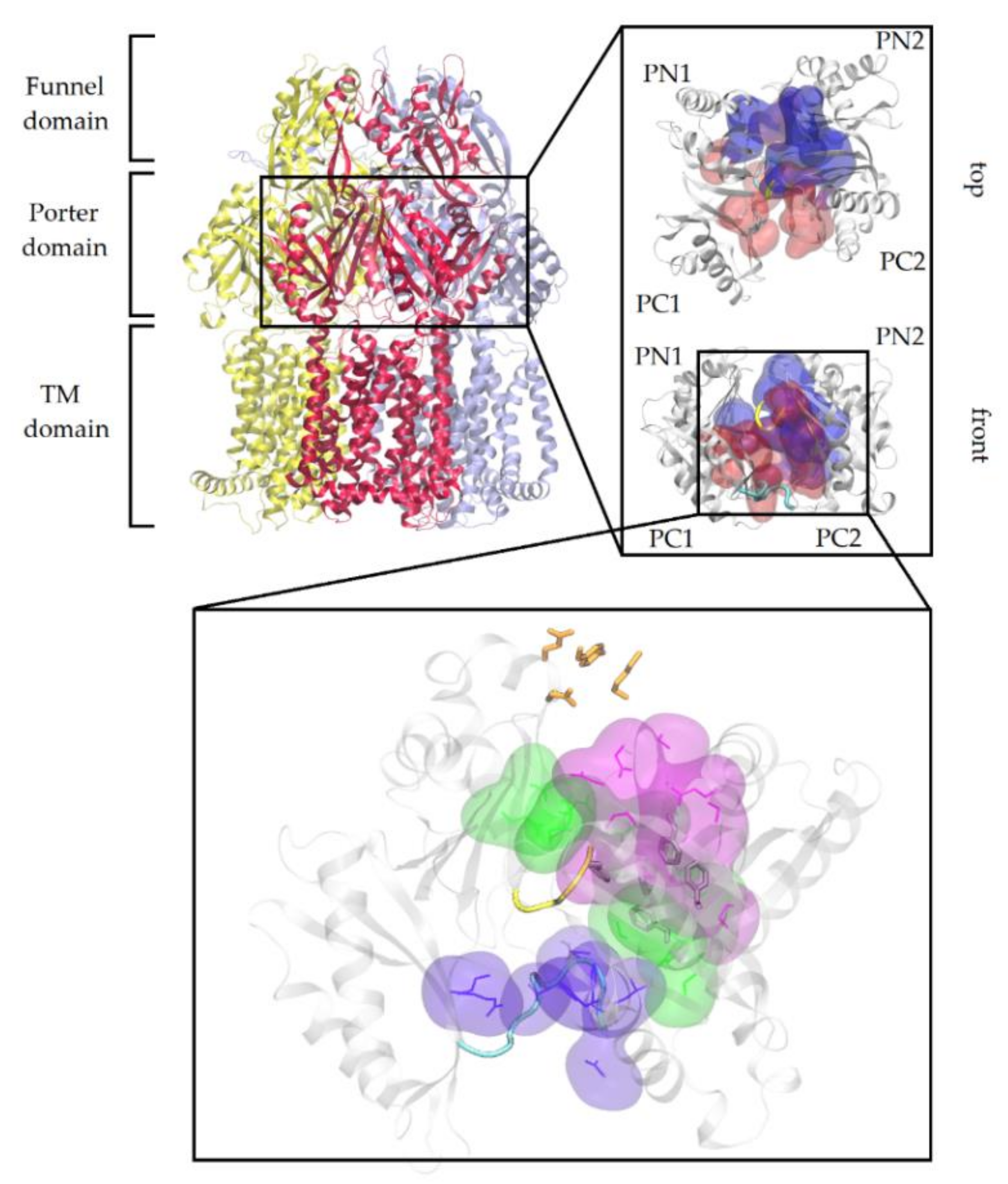 Ijms 21 00860 g001 Ijms 21 00860 g001